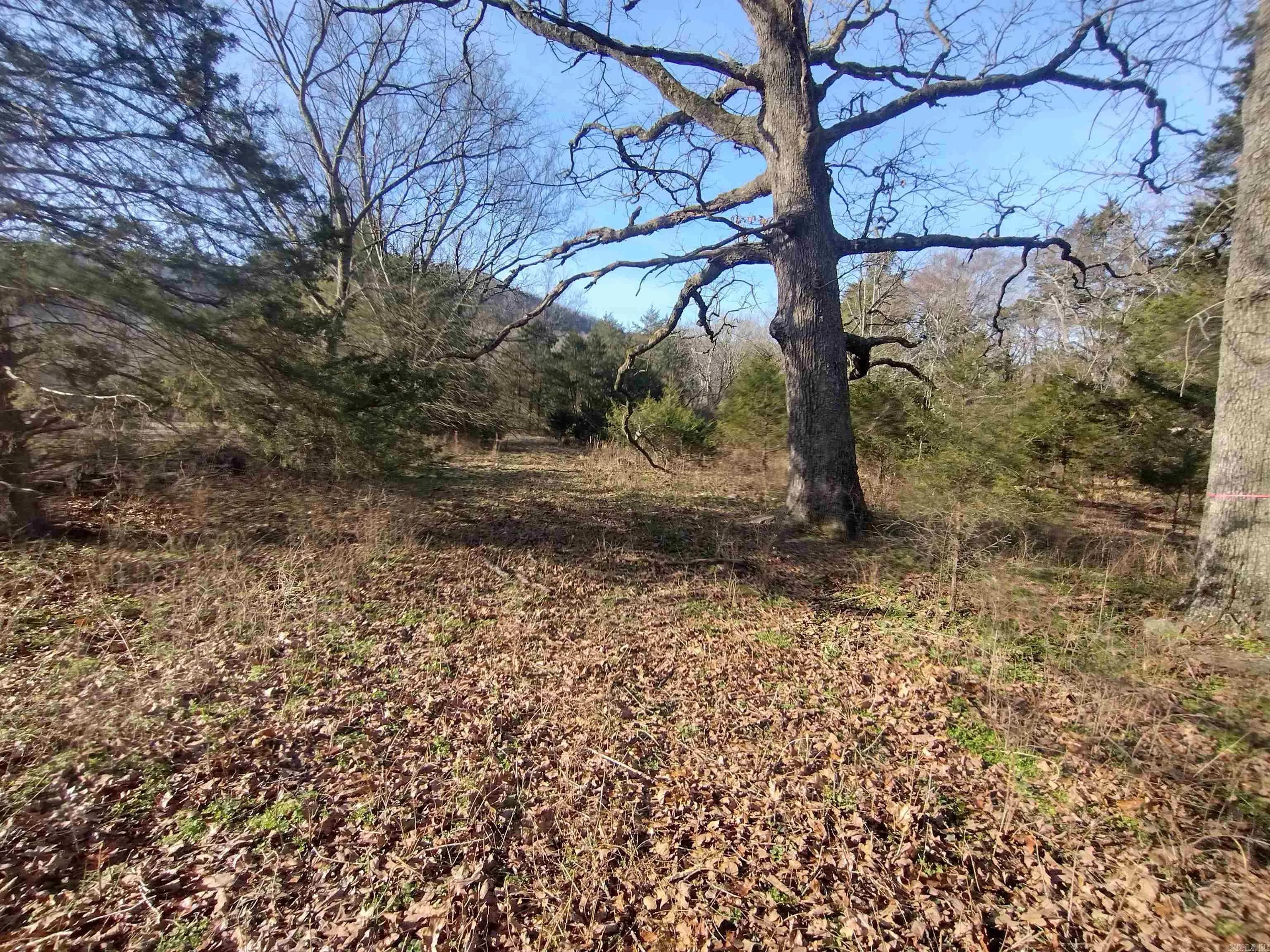 Property at Tract 1  Hwy 14 e - Image 10