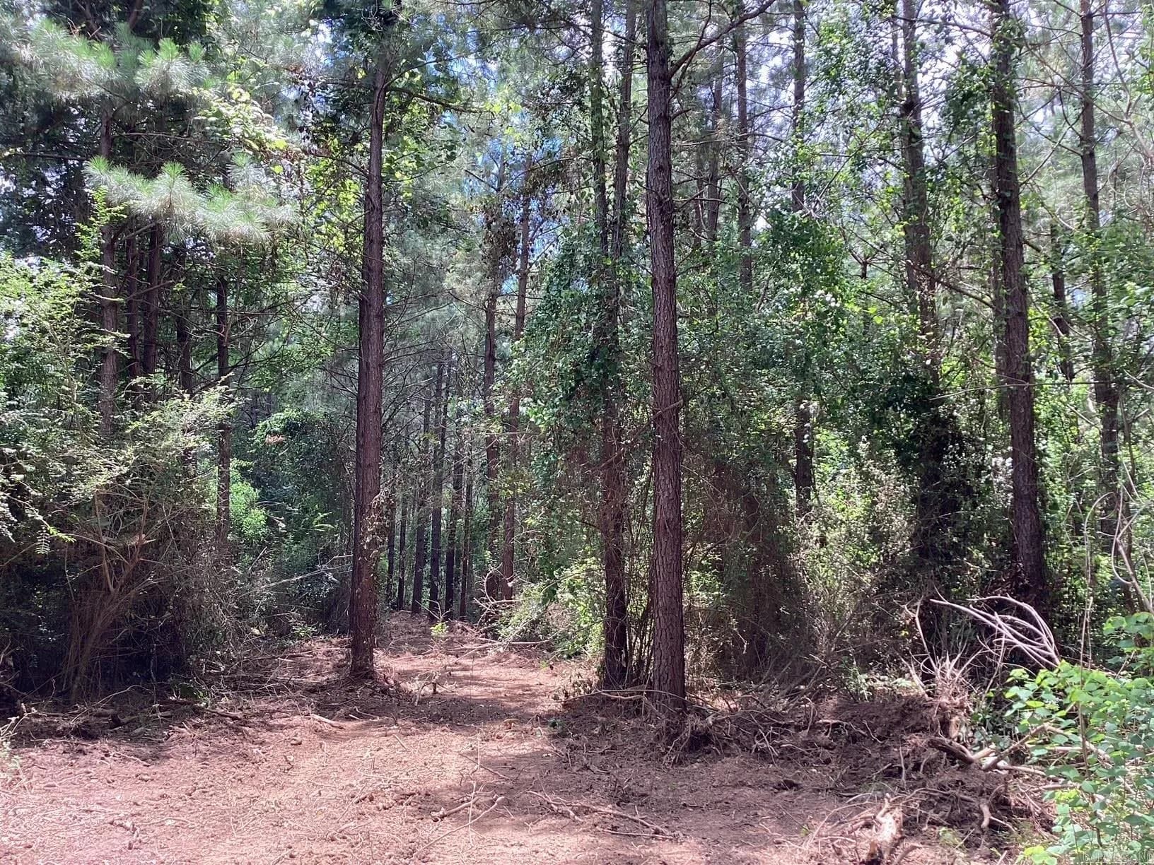 Property at W Ave e. 39 acres - Image 6