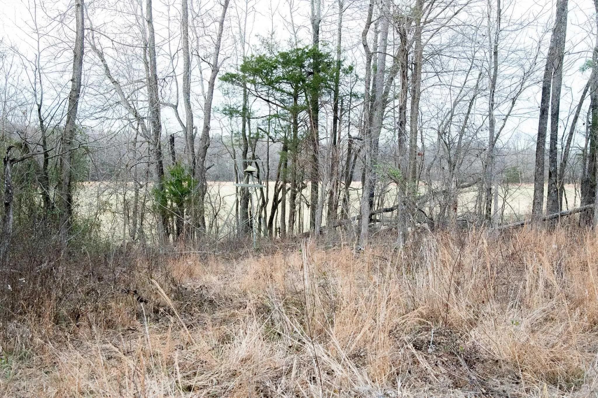 Property at 0000  Greene 747 - Image 21
