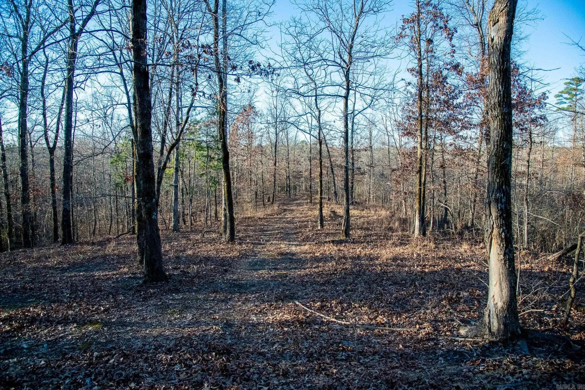 Property at 0000  Greene 747 - Image 35