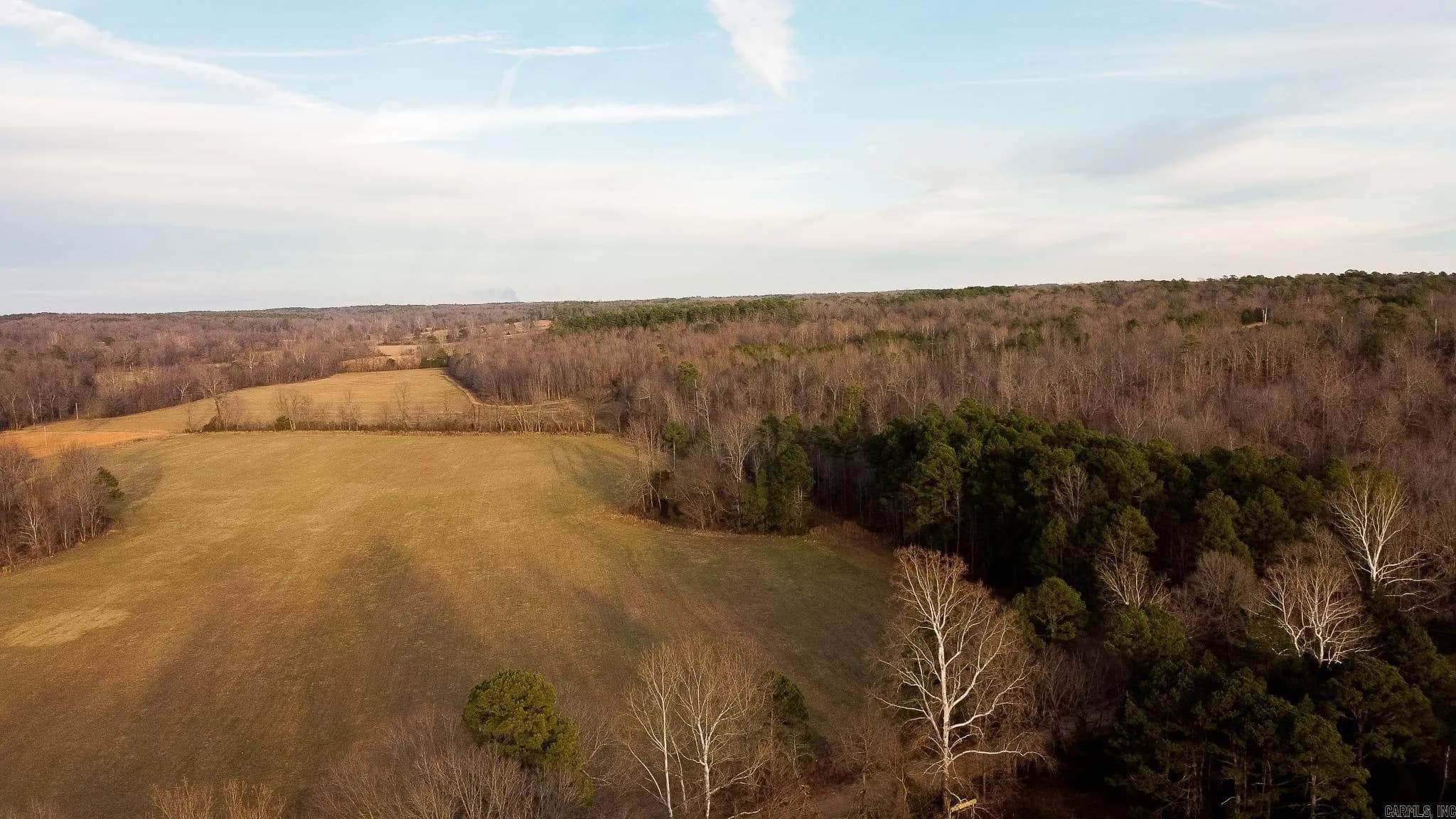 Property at 0000  Greene 747 - Image 2