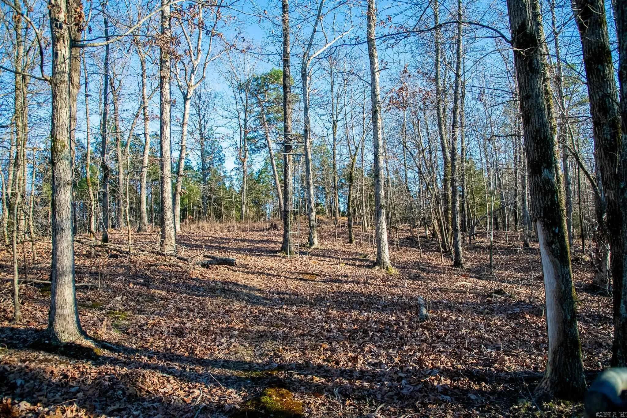 Property at 0000  Greene 747 - Image 34
