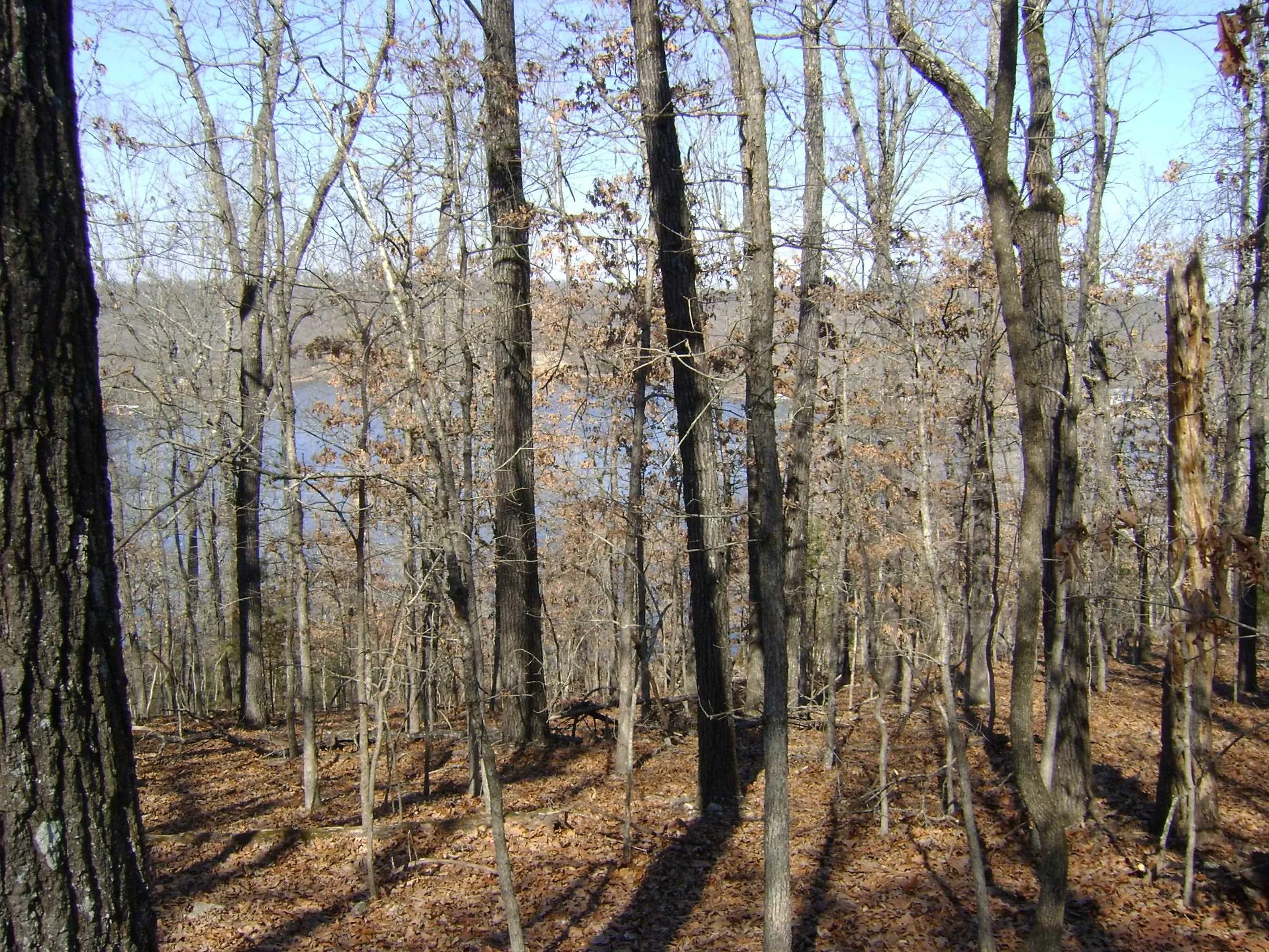 Property at 1301  View park circle - Image 15