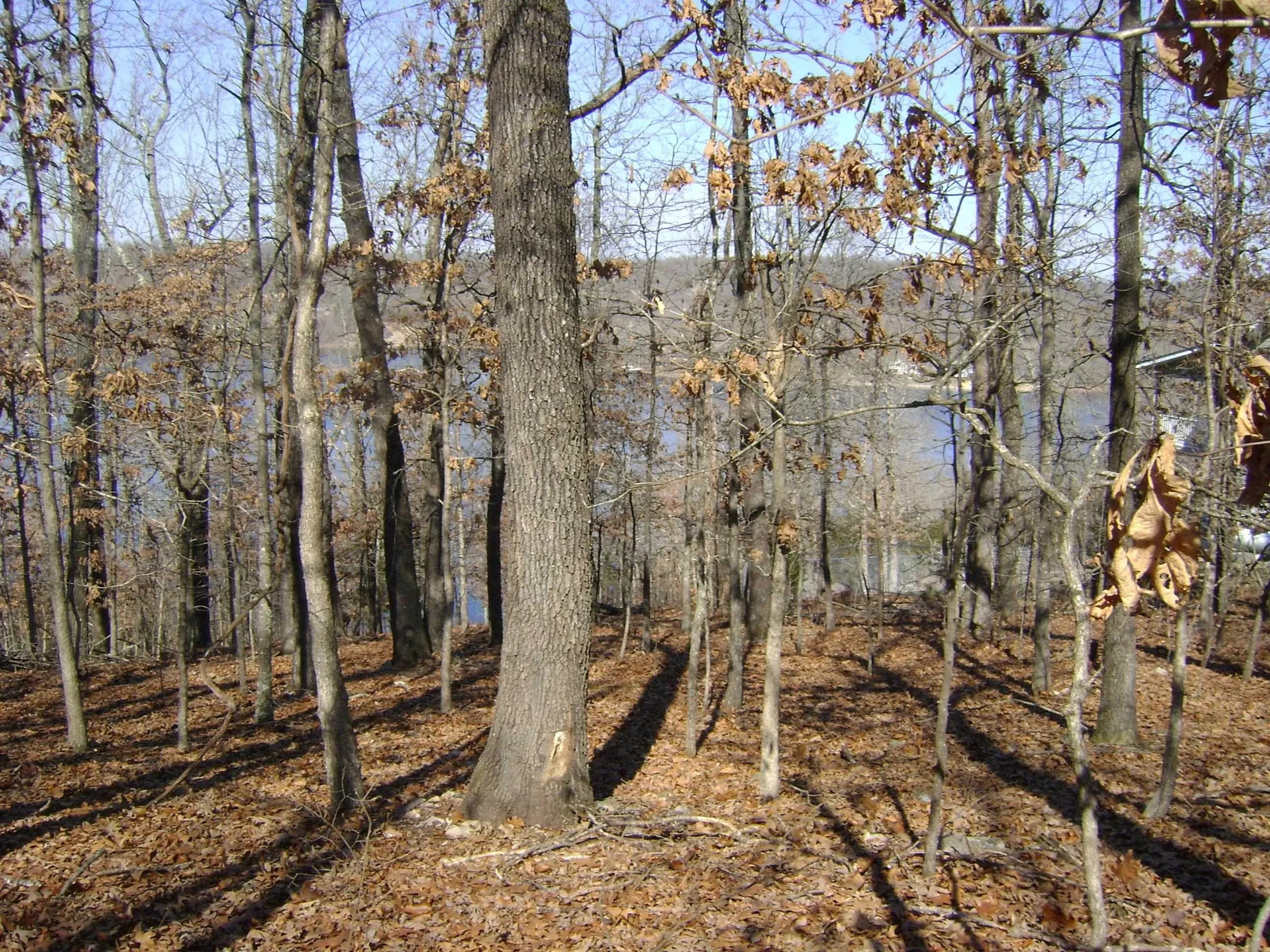 Property at 1301  View park circle - Image 12