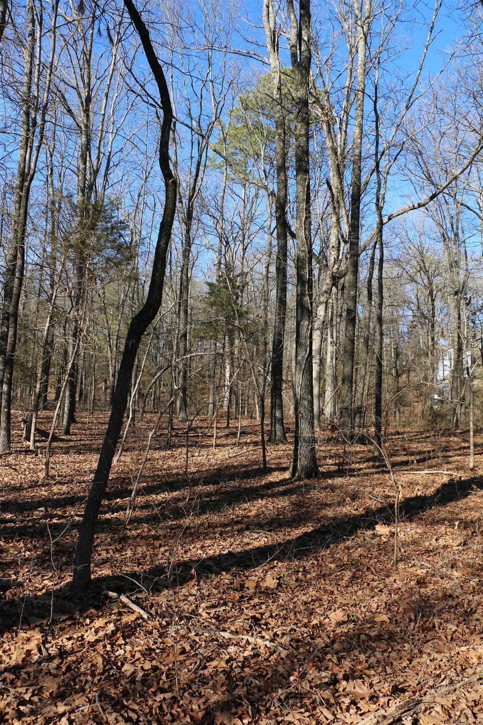 Property at Lot 152  Woodlawn - Image 20