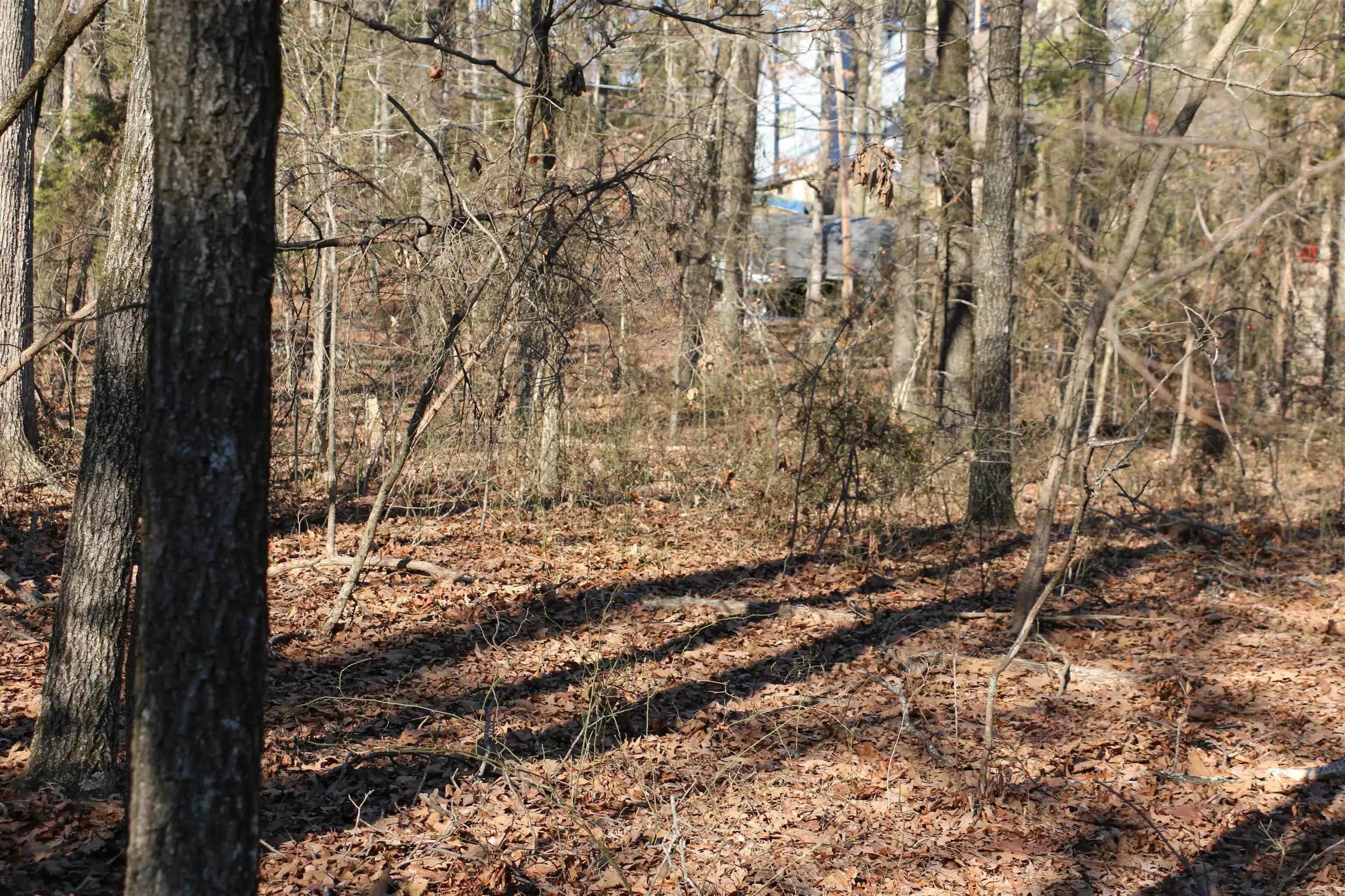 Property at Lot 152  Woodlawn - Image 23