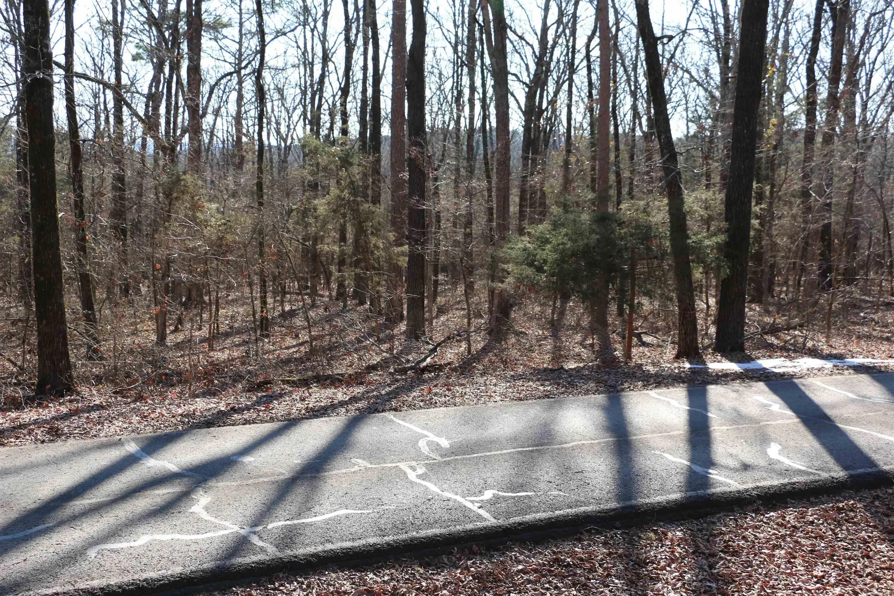 Property at Lot 152  Woodlawn - Image 1