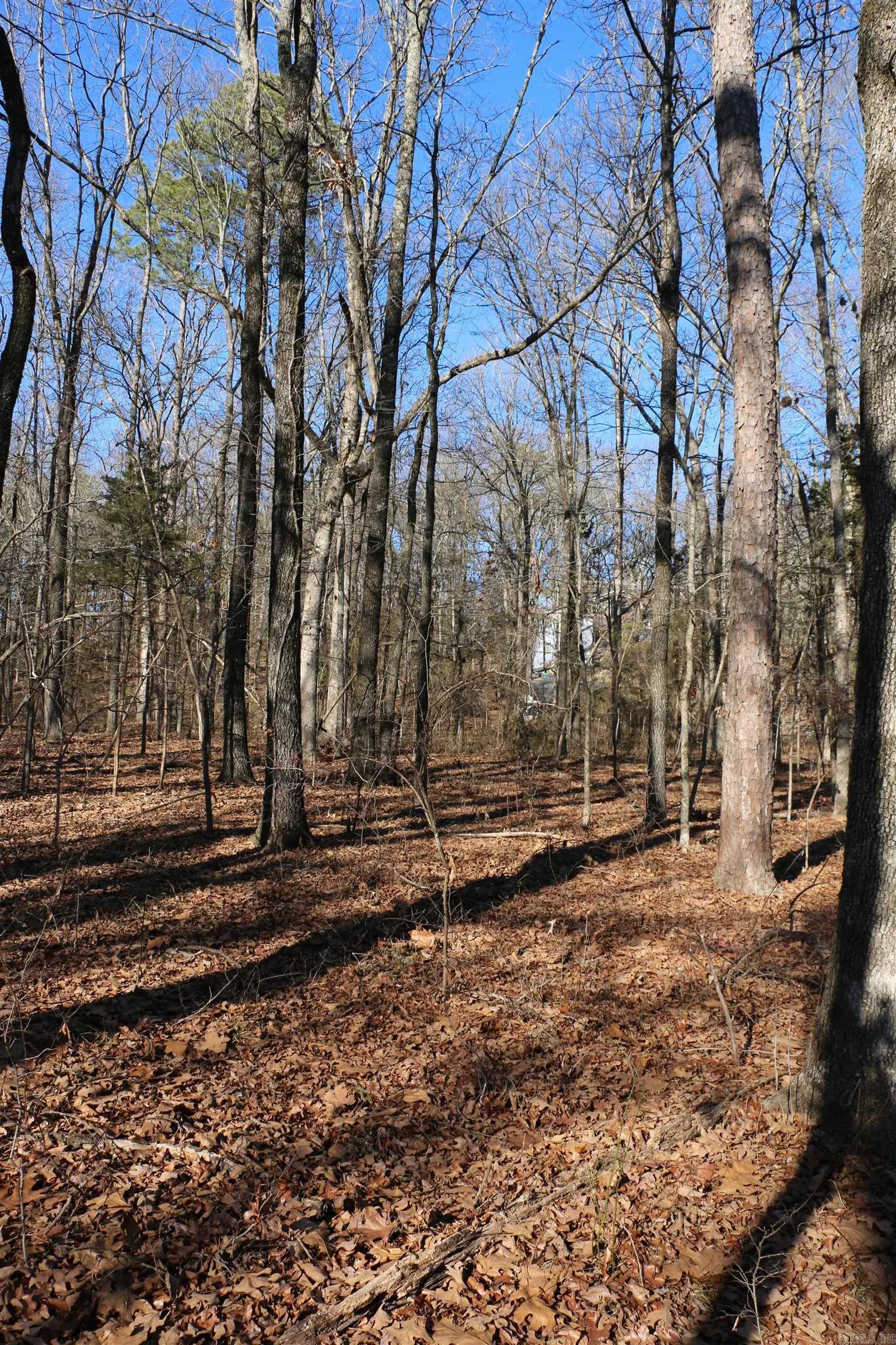 Property at Lot 152  Woodlawn - Image 21