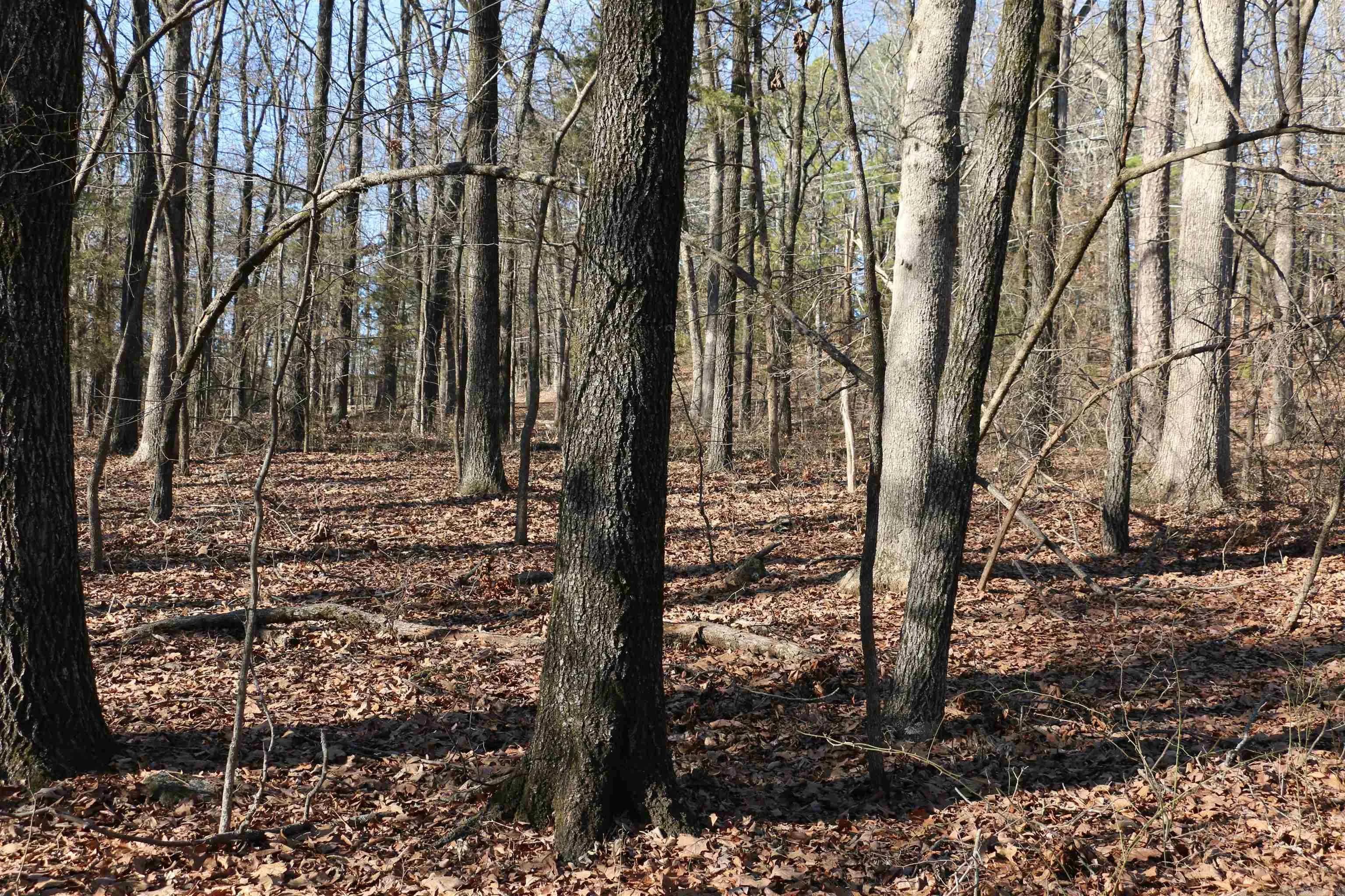 Property at Lot 152  Woodlawn - Image 15