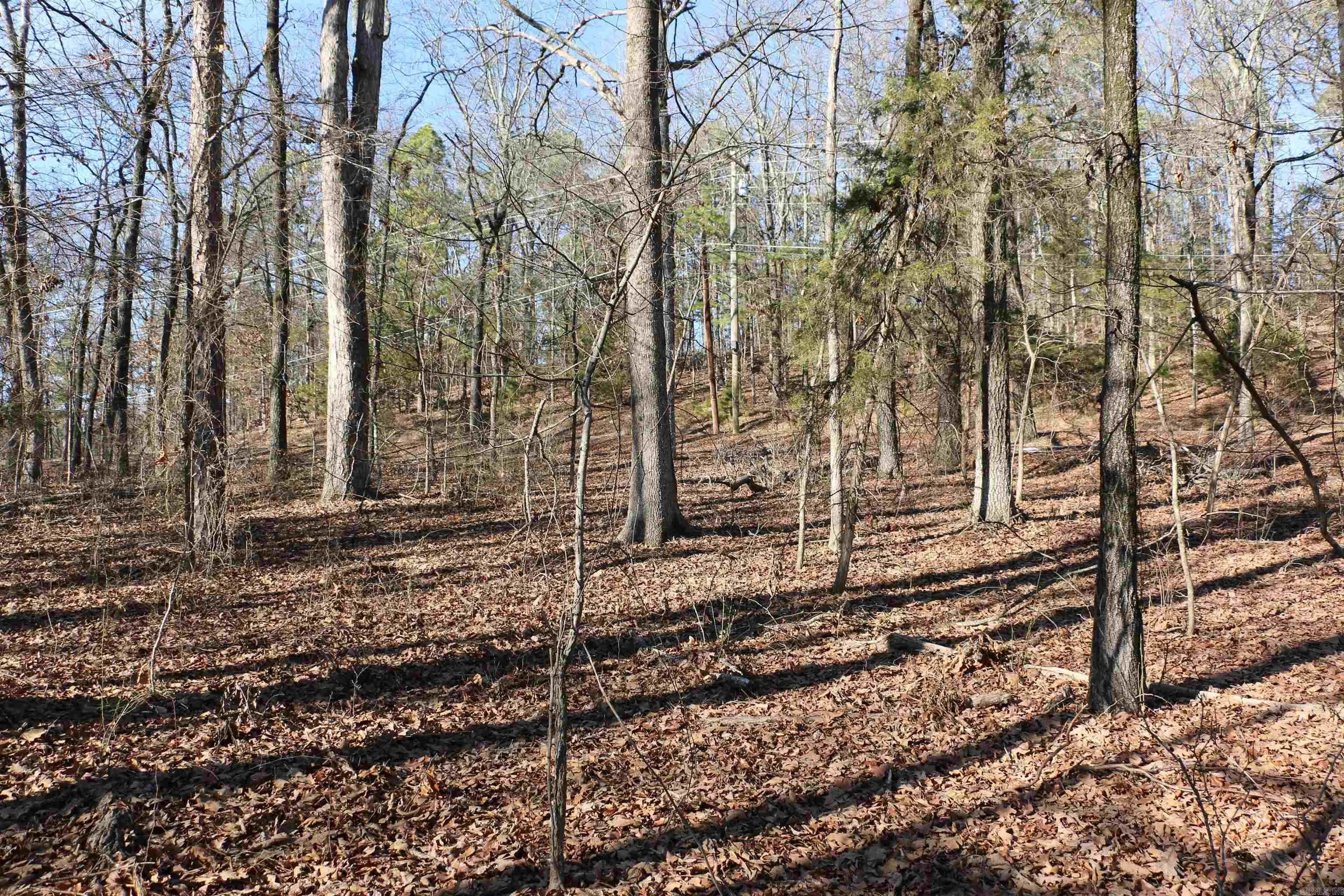 Property at Lot 152  Woodlawn - Image 11