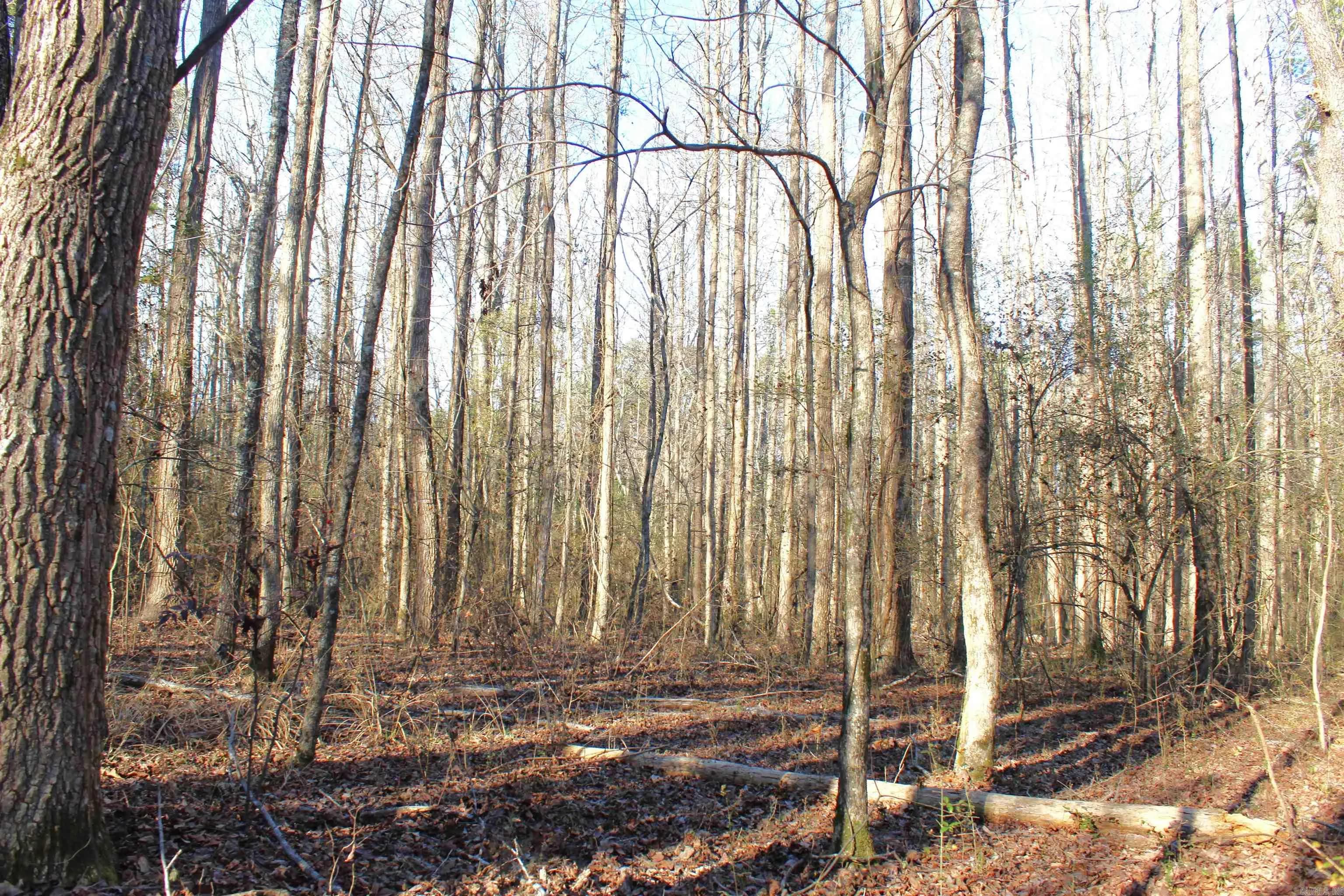 Property at 0 E Bivens - Image 15