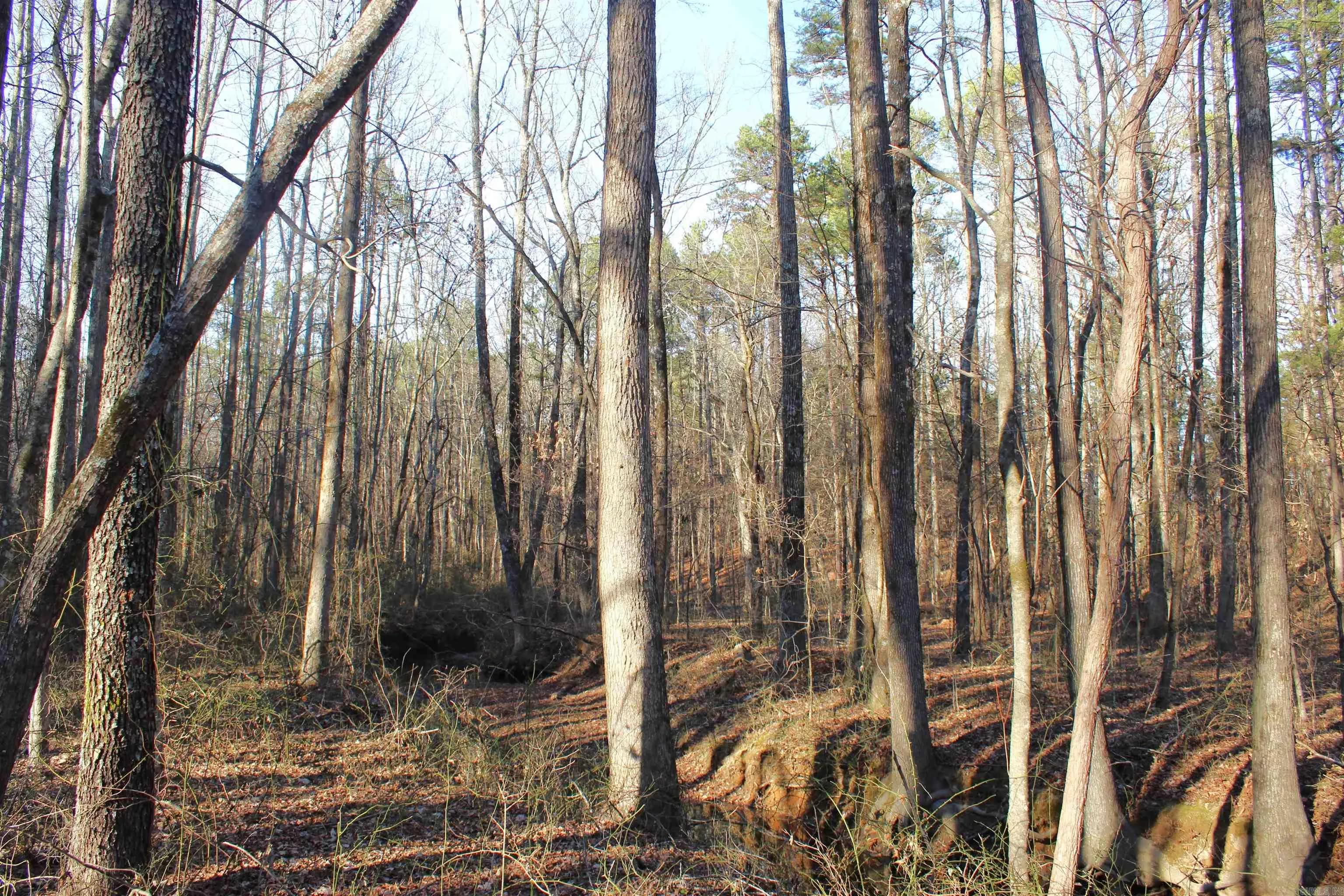 Property at 0 E Bivens - Image 6
