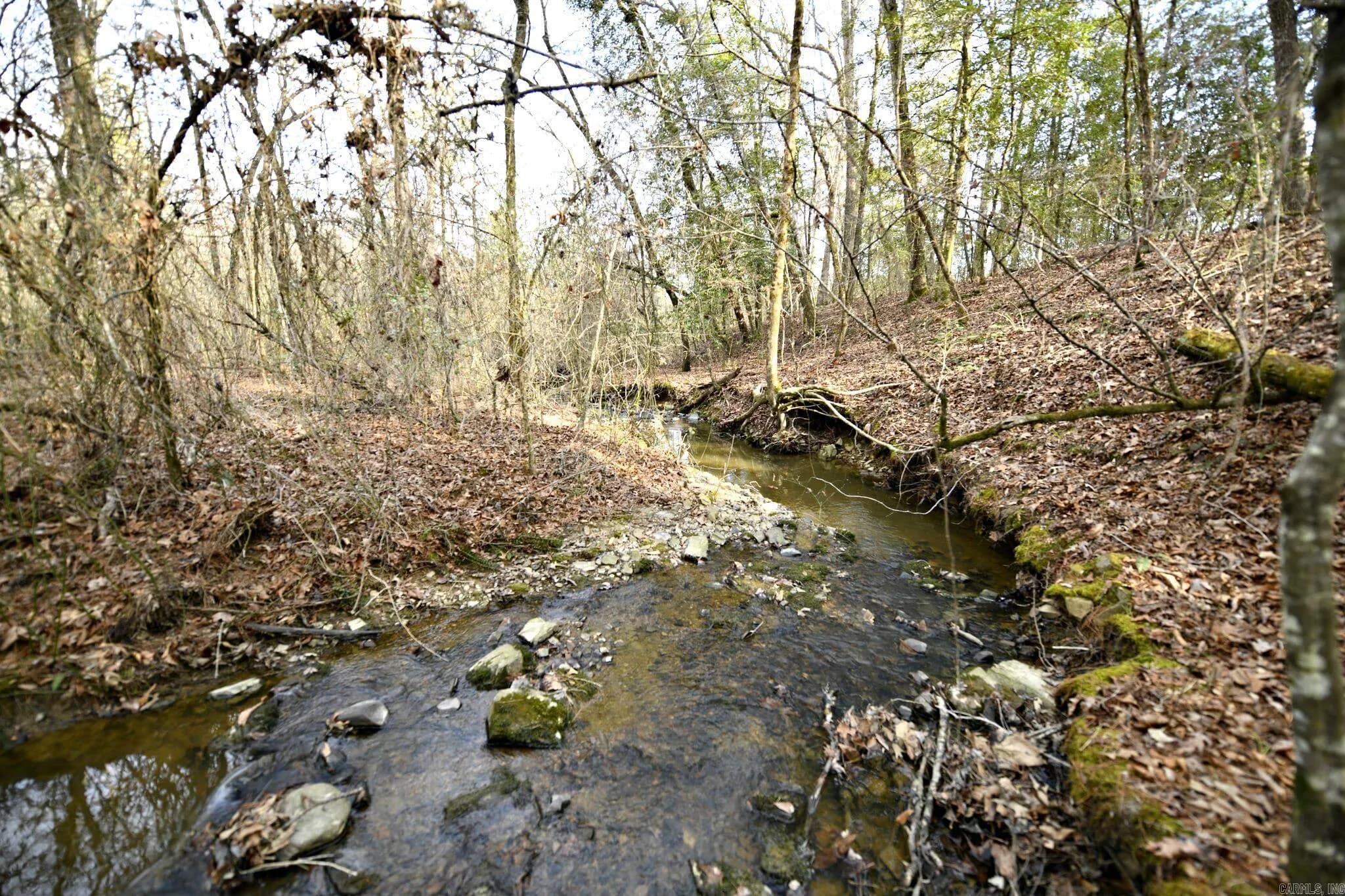 Property at TBD  Polk road 95 - Image 23