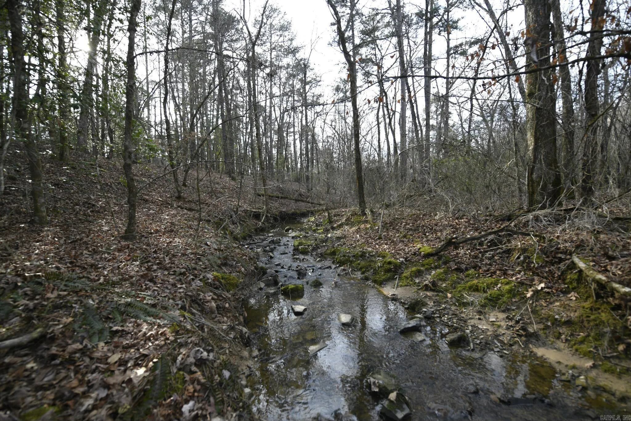 Property at TBD  Polk road 95 - Image 7