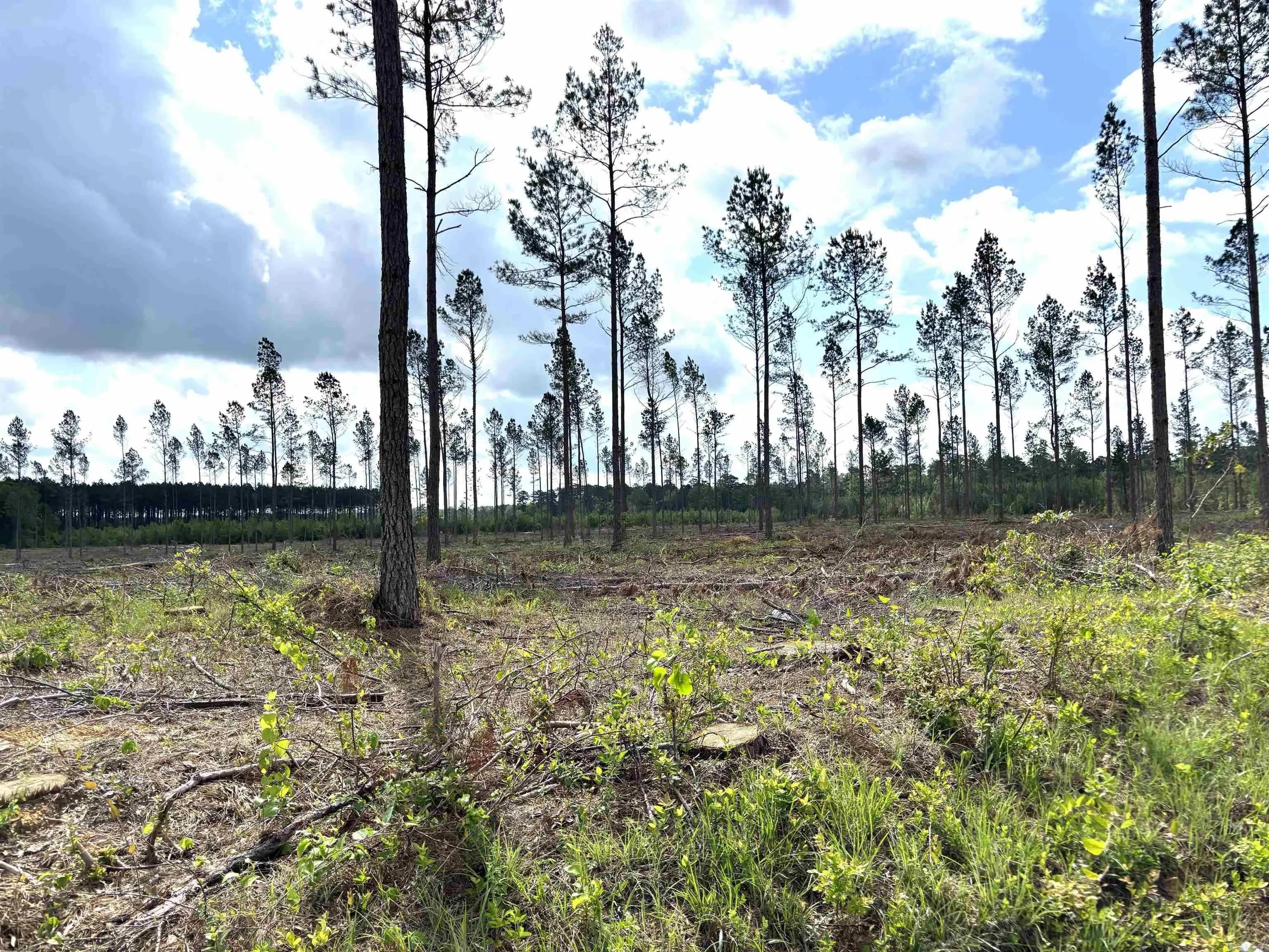 Property at 0  Grant county road 9 (d) - Image 2