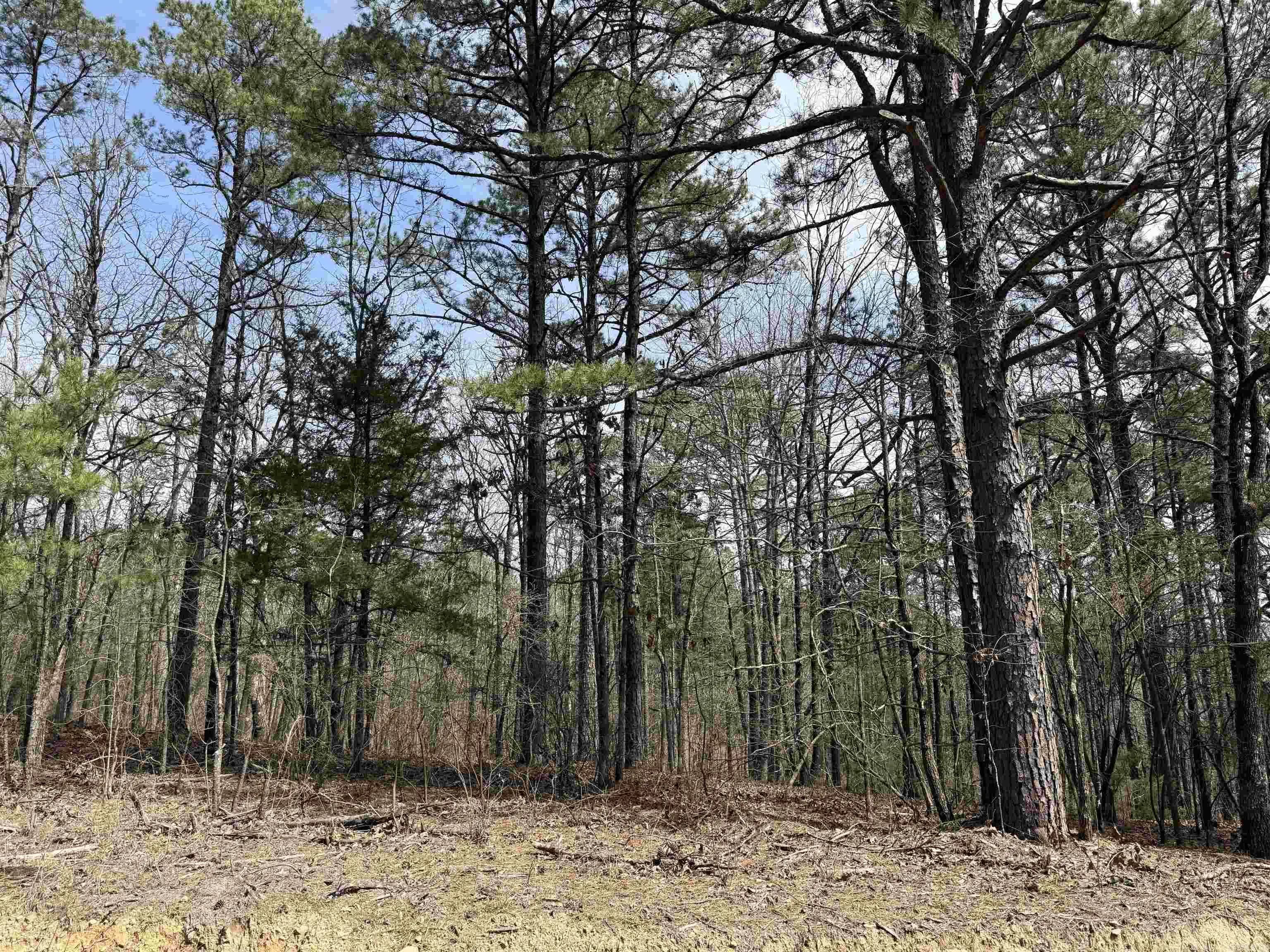 Property at 00  Long branch road - Image 4
