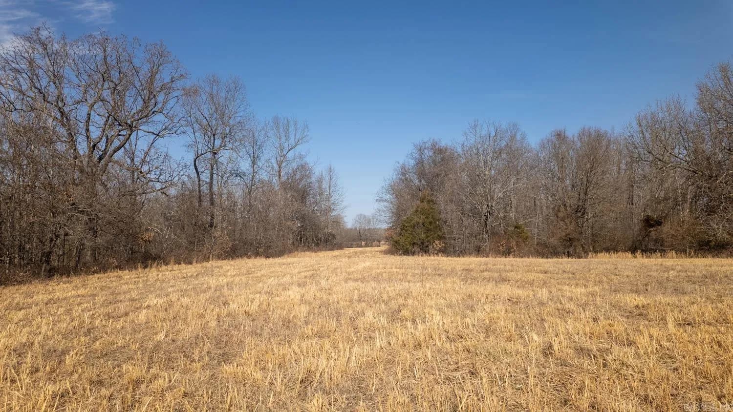 Property at 000  Pleasant run road - Image 29