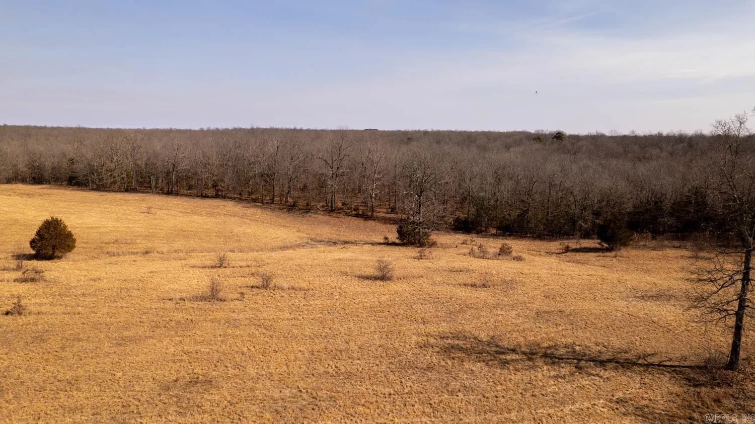 Property at 000  Pleasant run road - Image 23