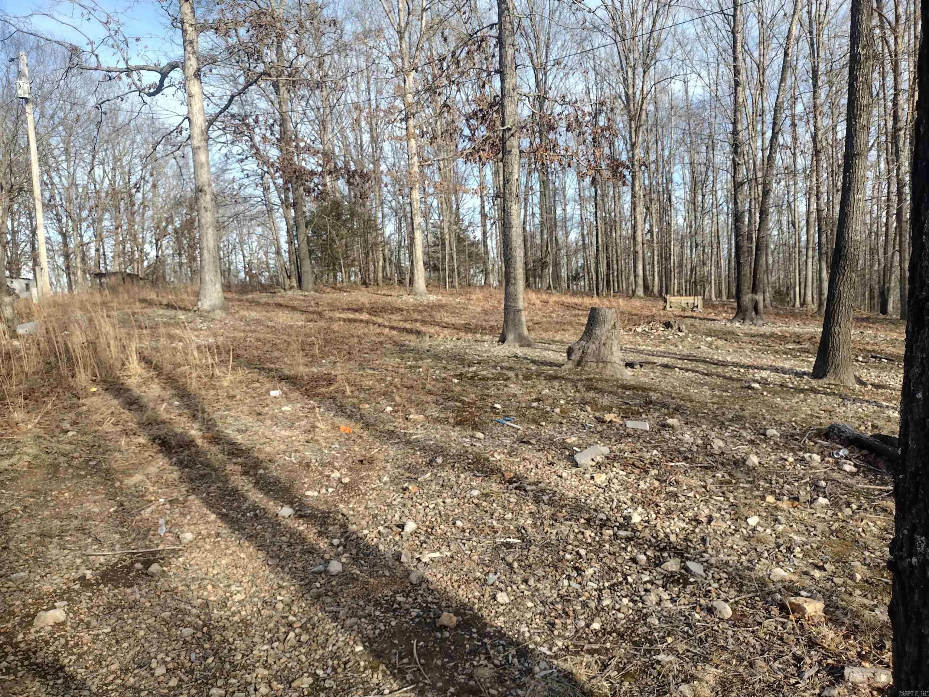 Property at 419  Foll lp - Image 3
