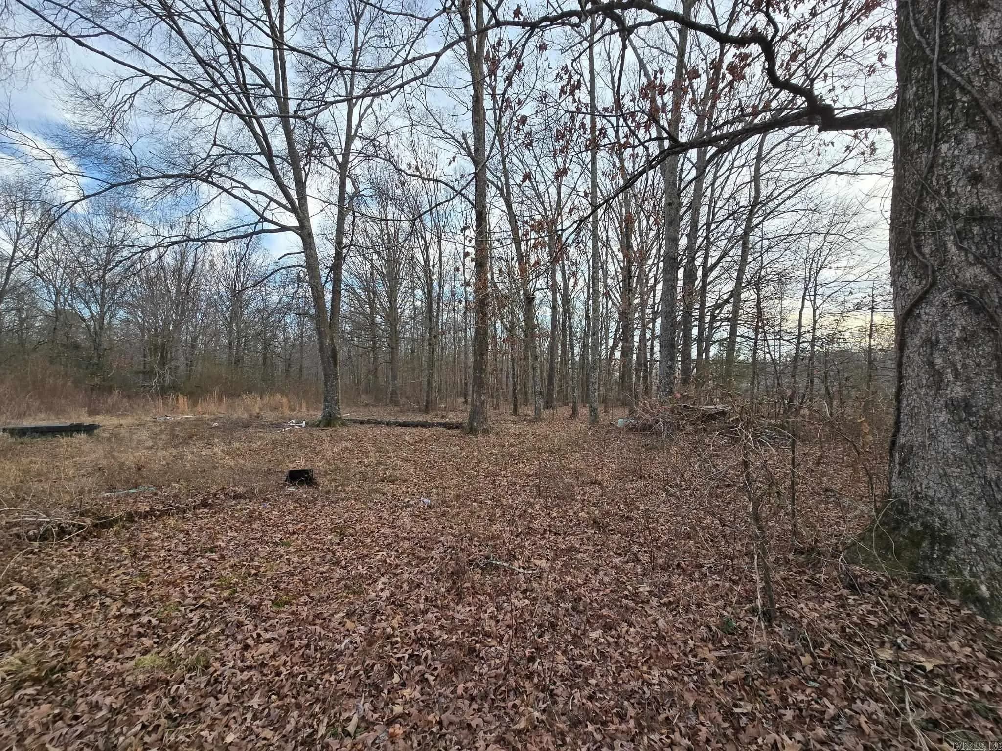 Property at 419  Robert young - Image 7