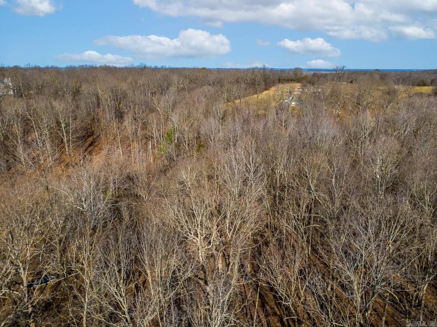 Property at 3.03  Acres county road 389 - Image 7