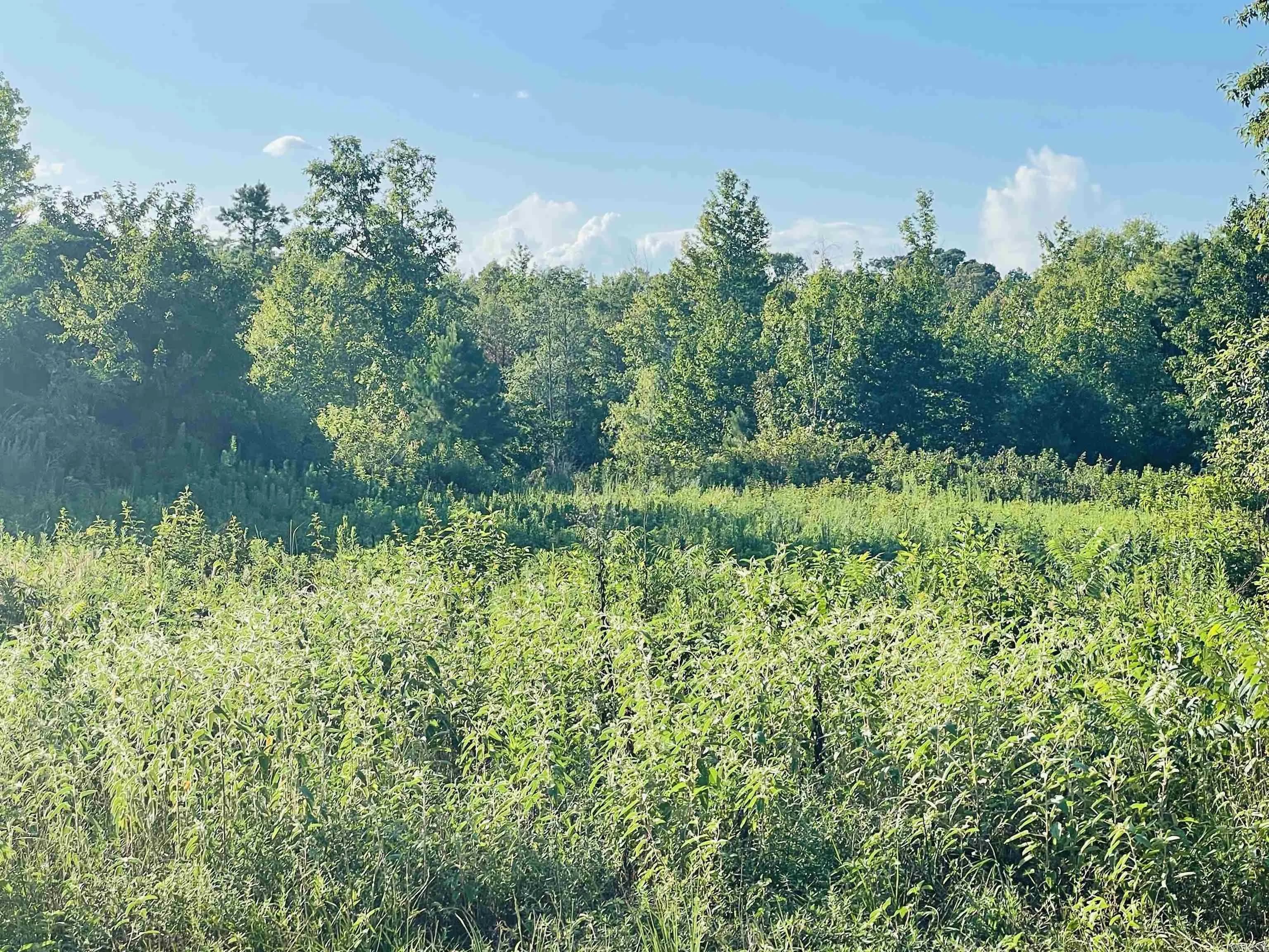 Property at TBD  Highway 71 - Image 6