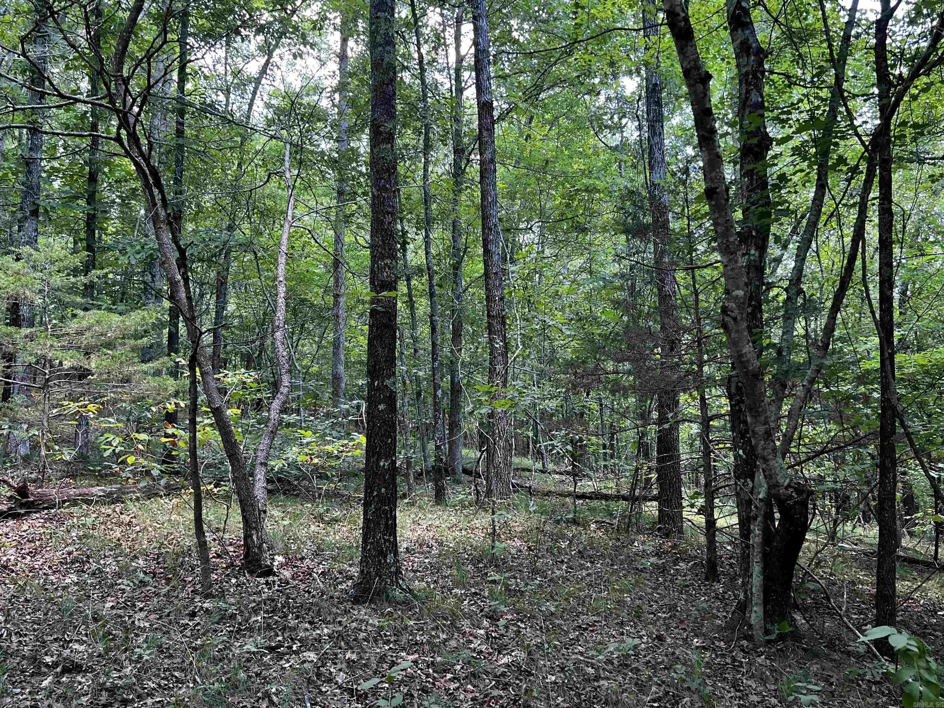 Property at Heber springs area  Heber Springs Ar - Image 38