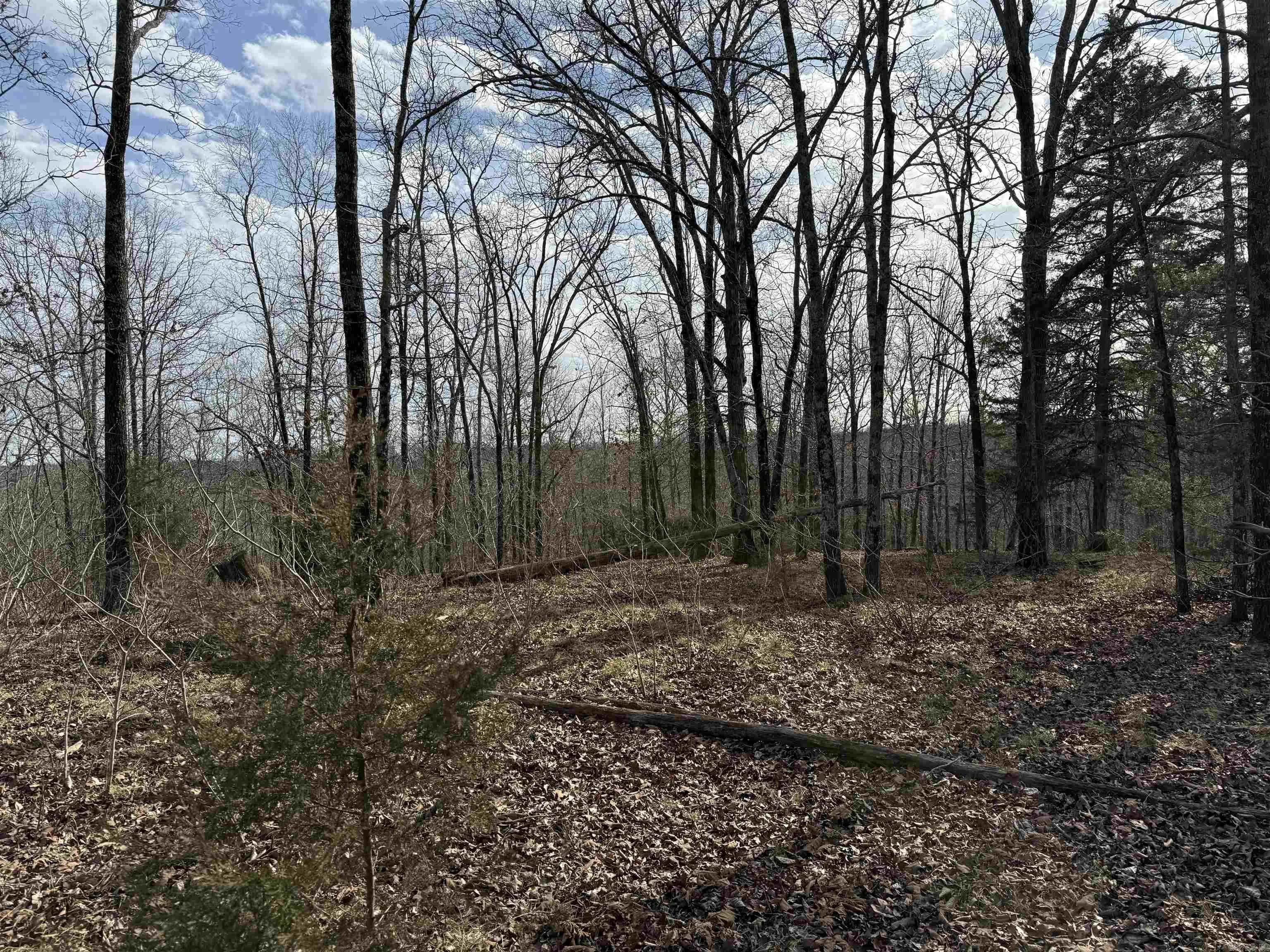 Property at Heber springs area  Heber Springs Ar - Image 25