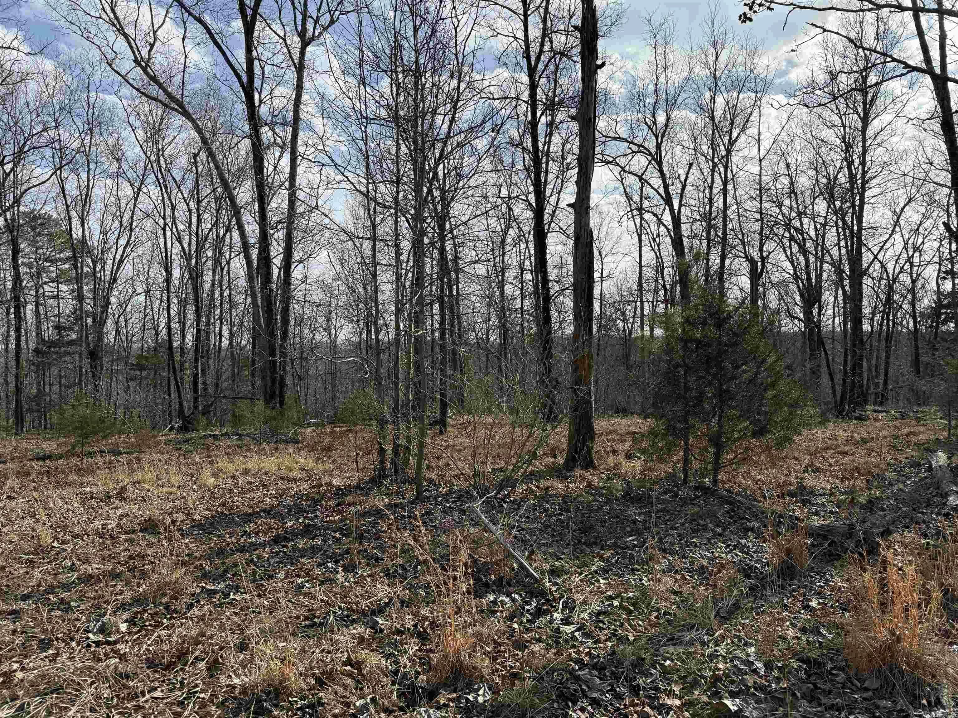 Property at Heber springs area  Heber Springs Ar - Image 28