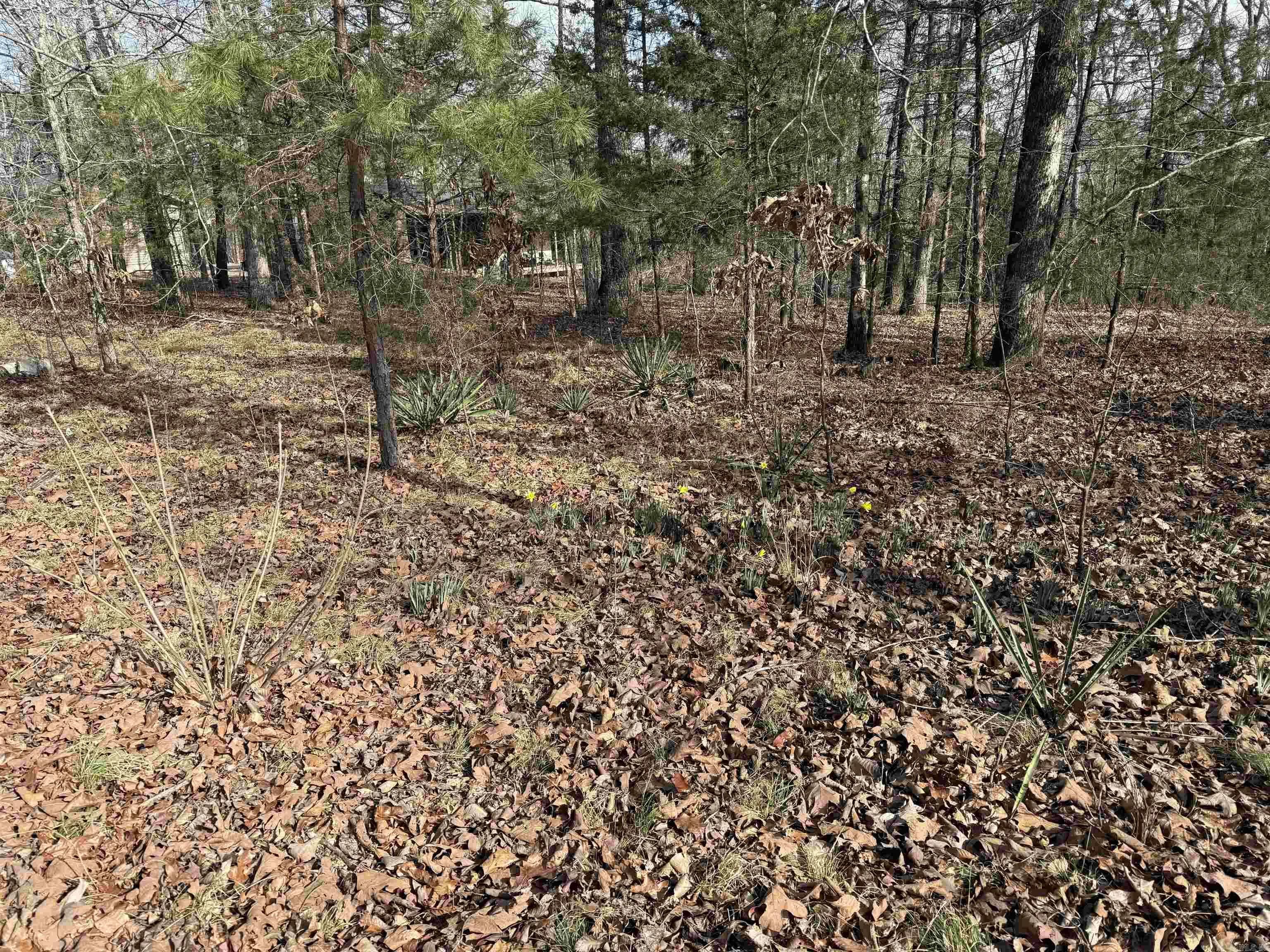 Property at Heber springs area  Heber Springs Ar - Image 15