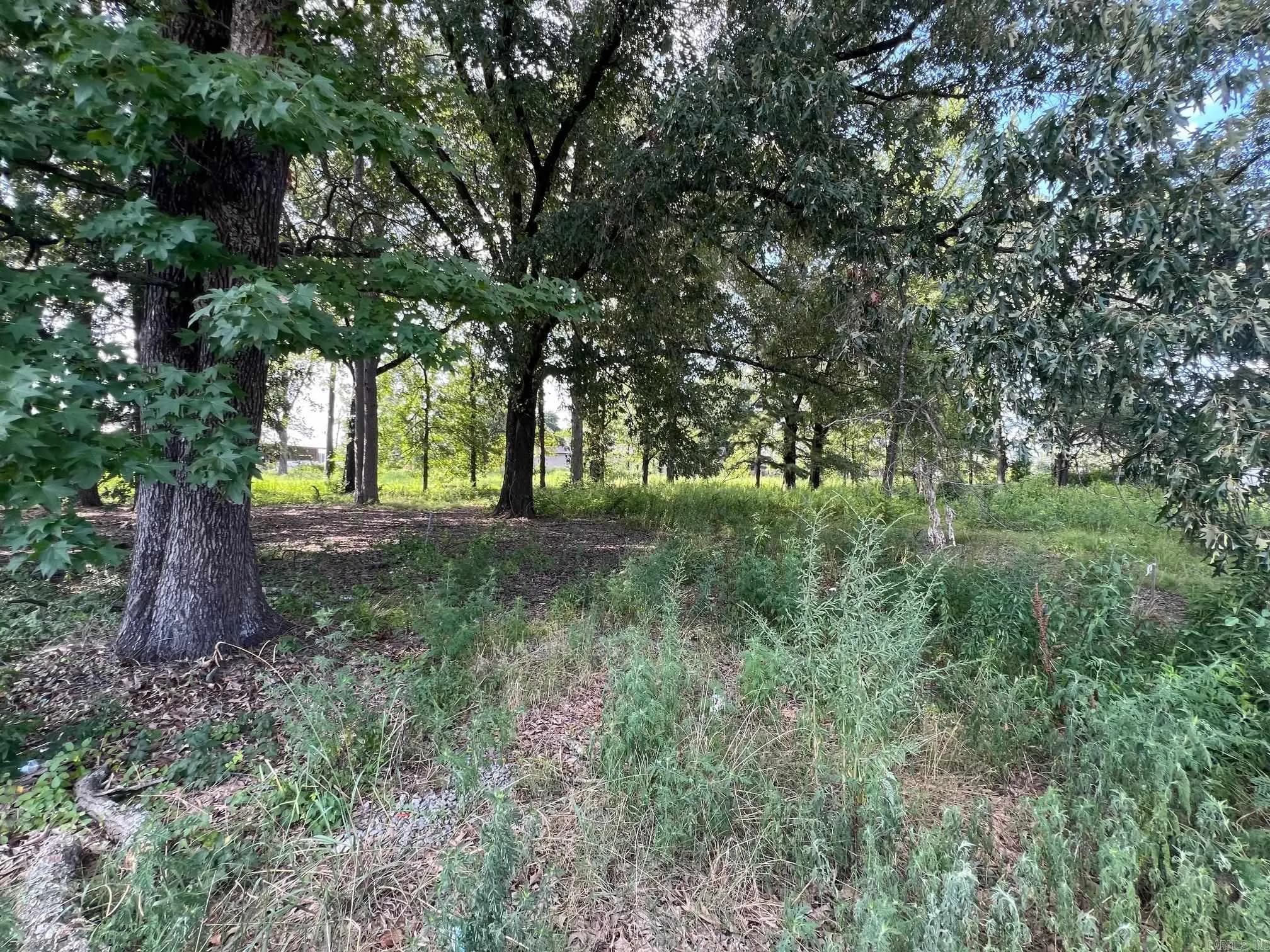 Property at 6020  Young - Image 14