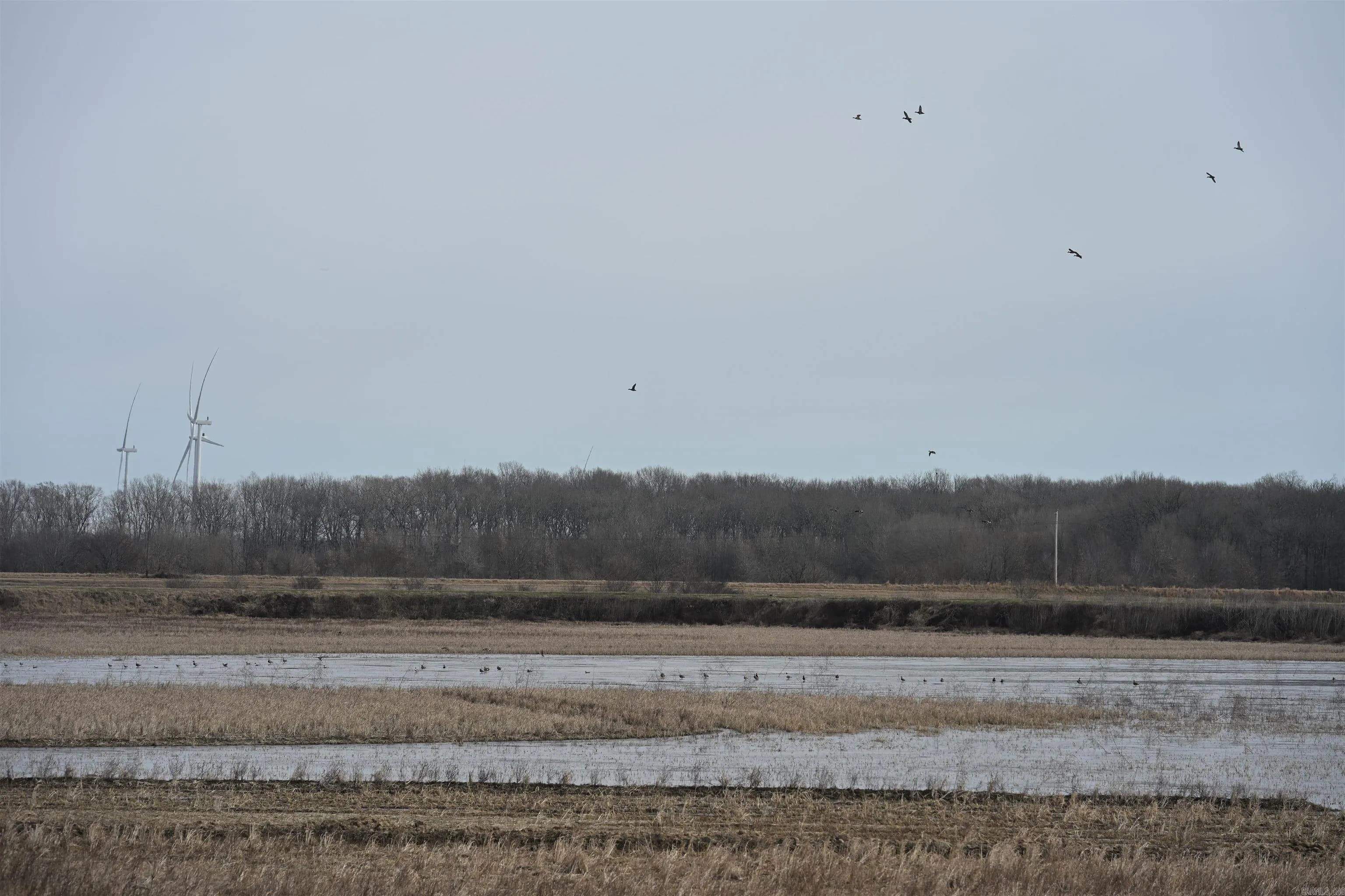 Property at 00  Cr 242 - Image 6