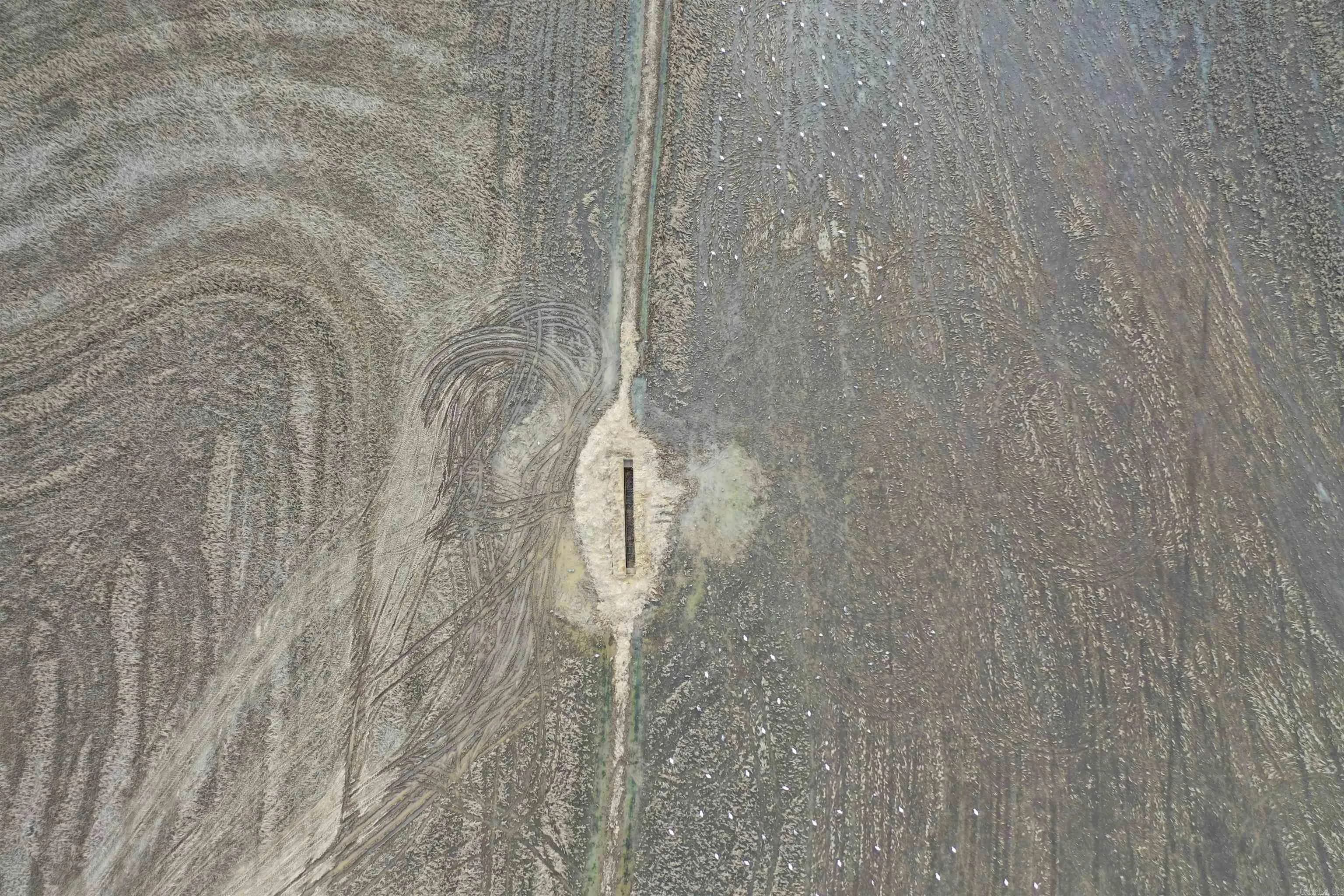 Property at 00  Cr 242 - Image 22
