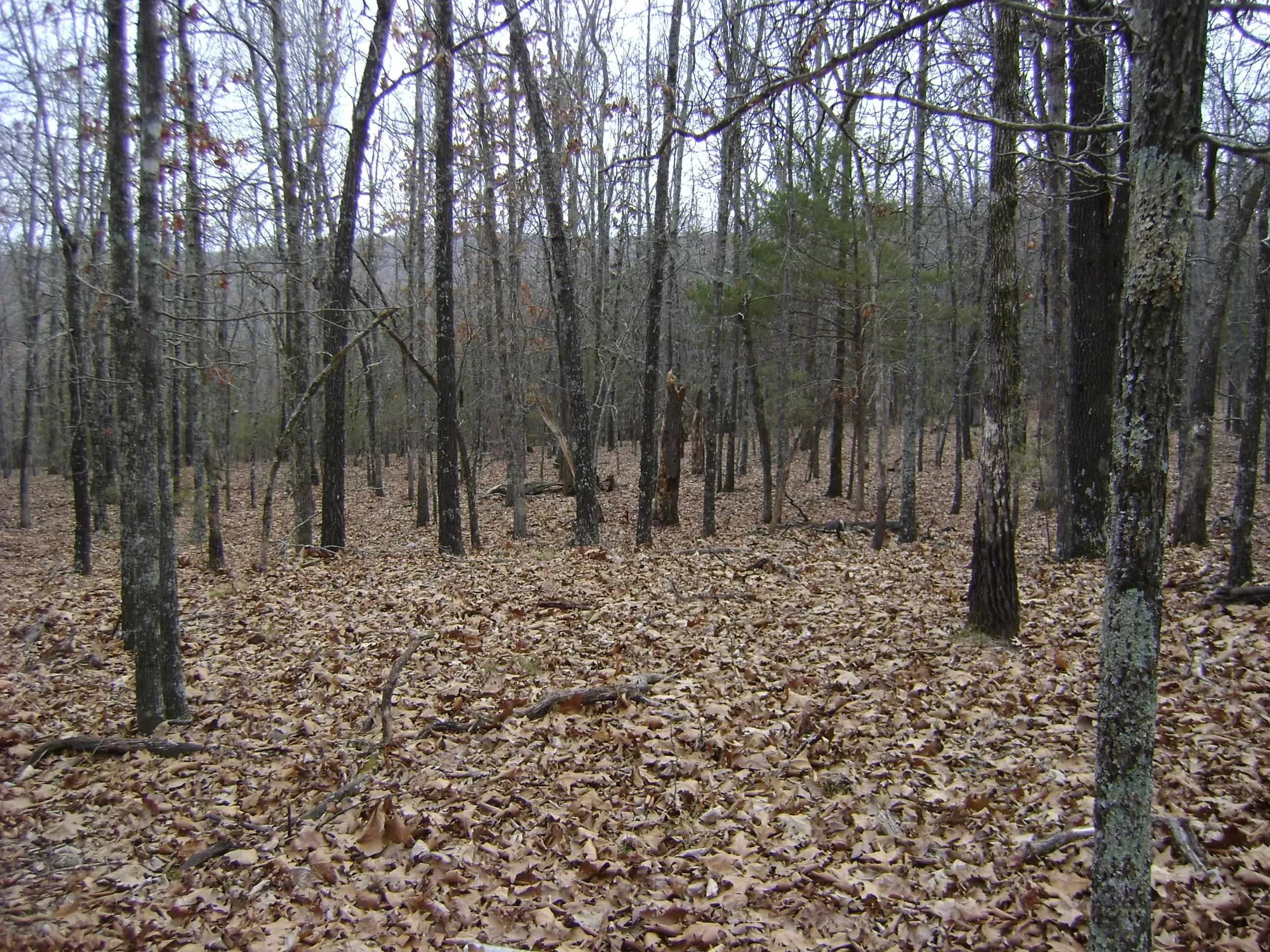 Property at Kennedy road - Image 12