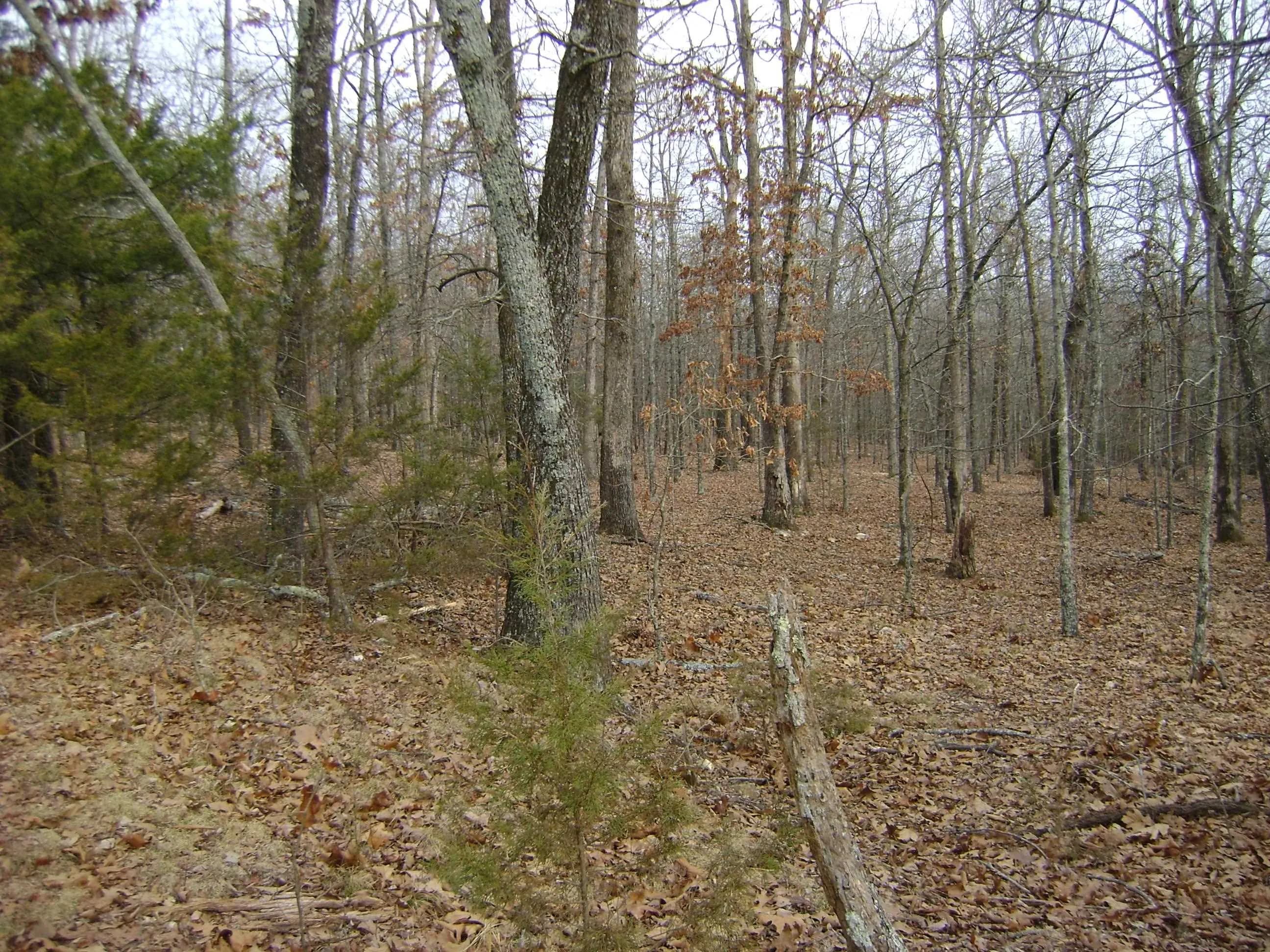 Property at Kennedy road - Image 16