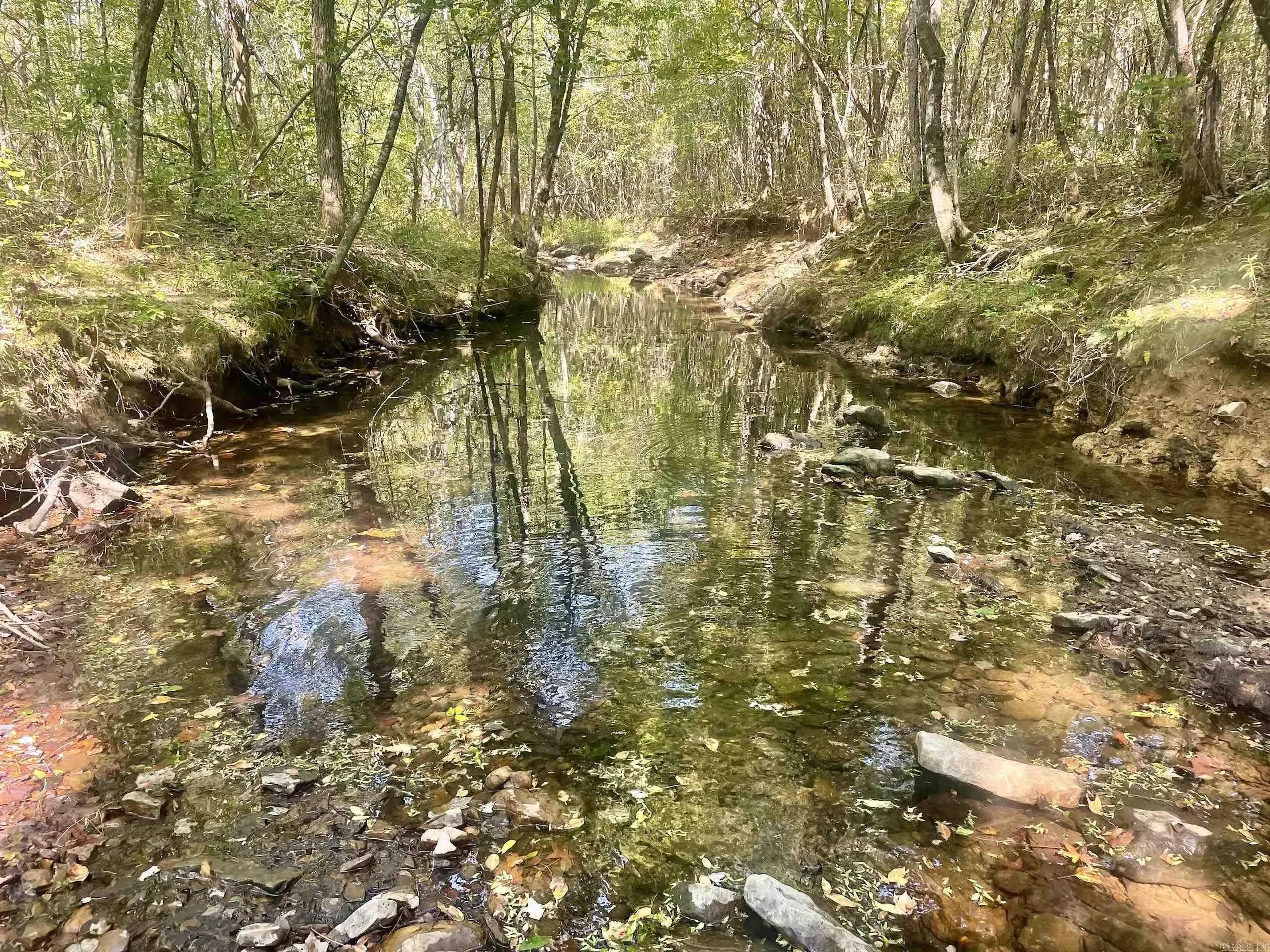 Property at 002  Brownsville road - Image 6