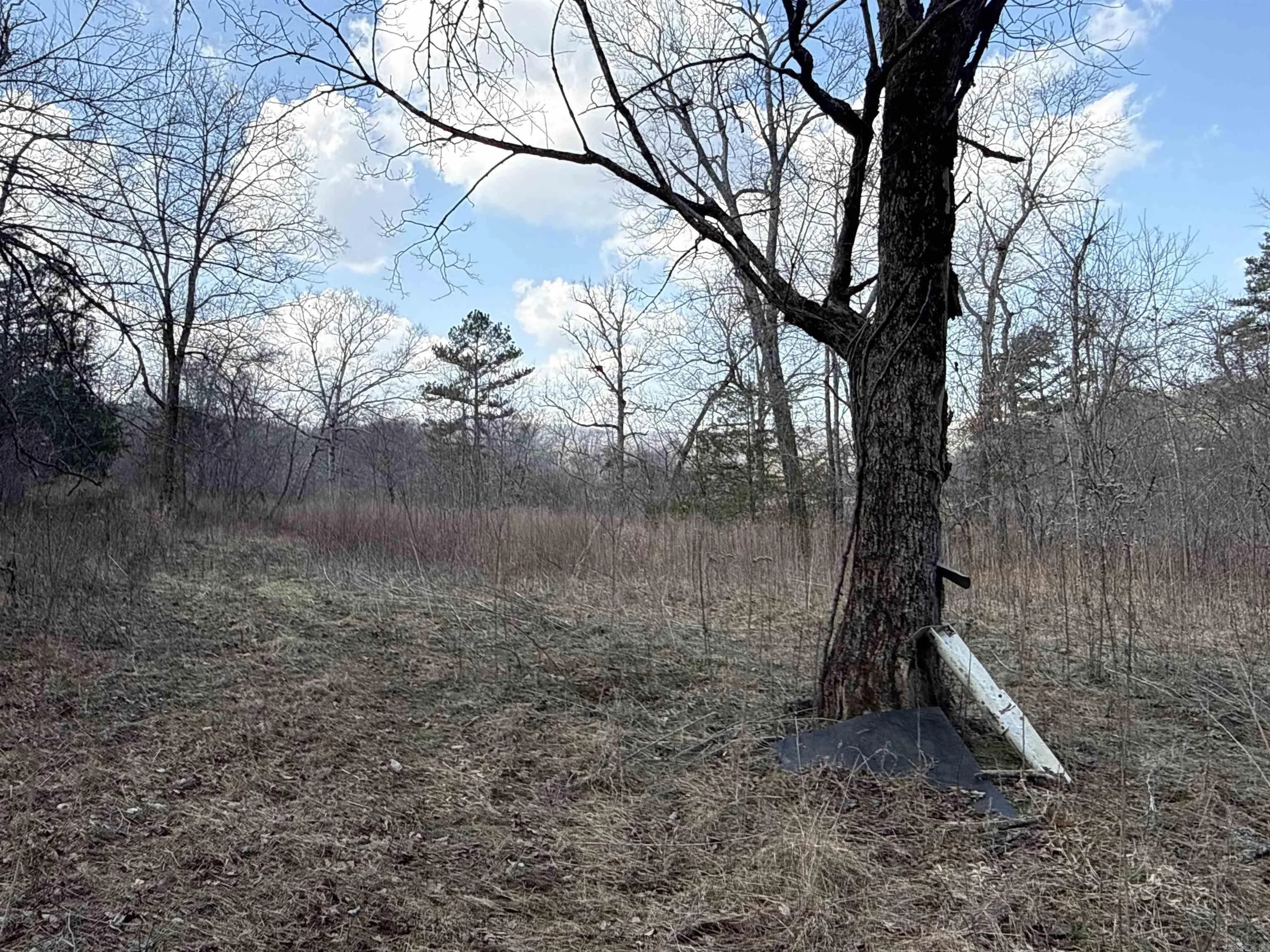 Property at 000  Daniel hill - Image 16