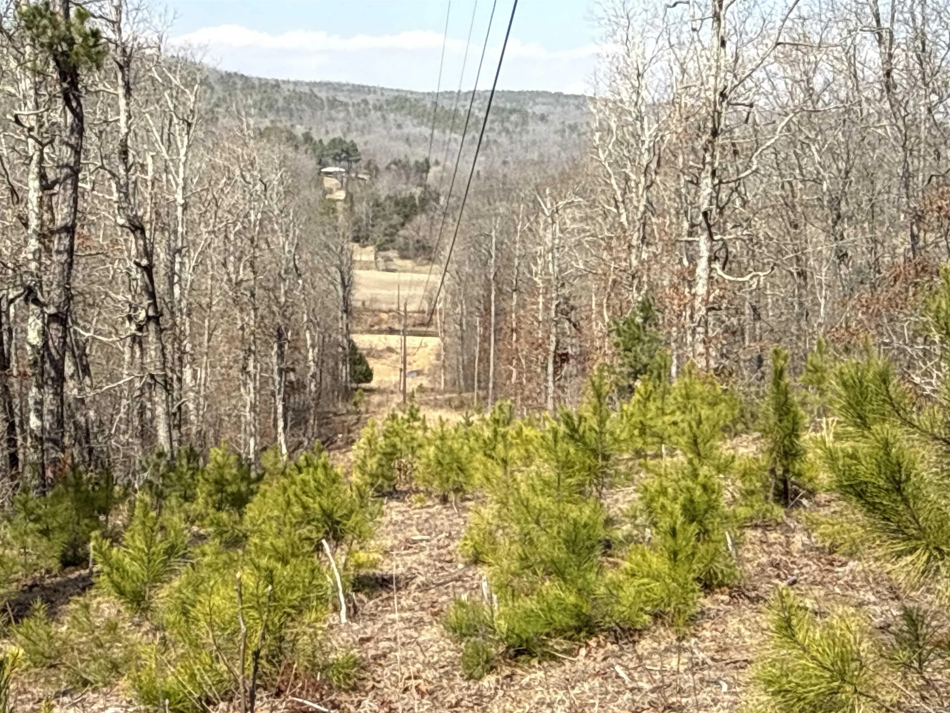 Property at 000  Daniel hill - Image 18
