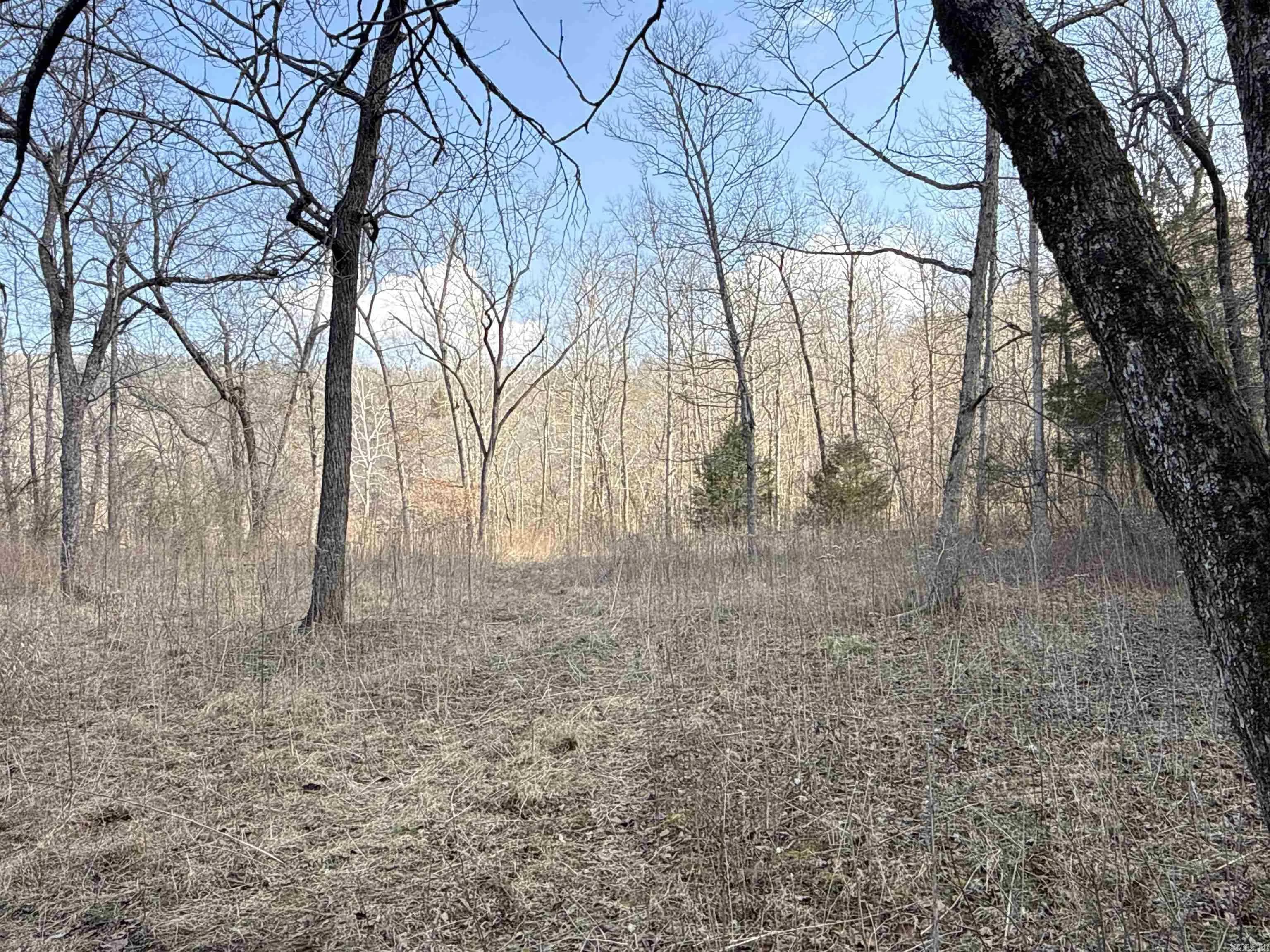 Property at 000  Daniel hill - Image 15