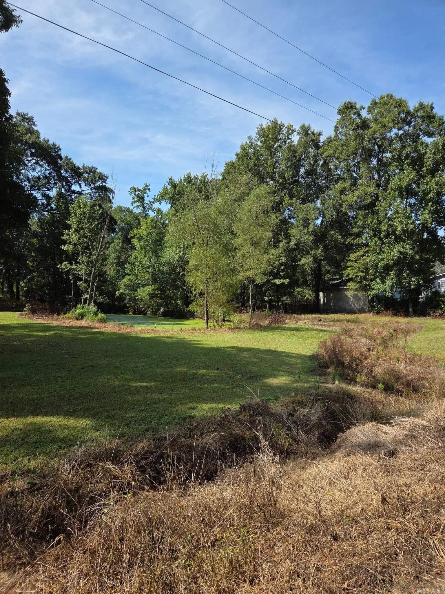 Property at 271  Trailwood drive - Image 38