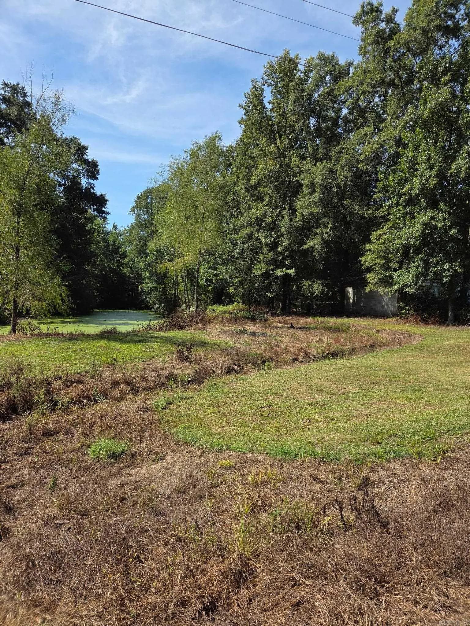 Property at 271  Trailwood drive - Image 39