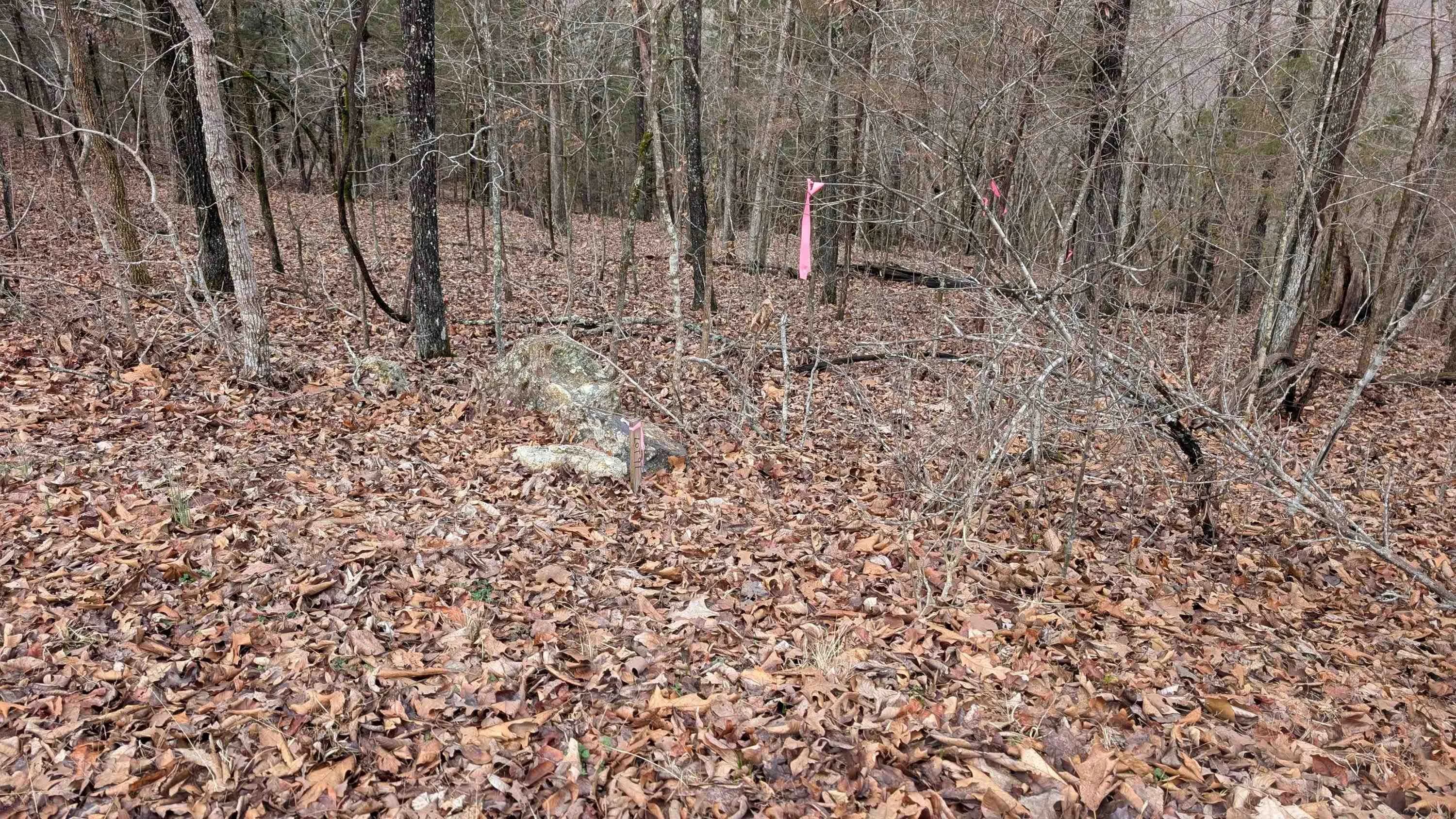 Property at Tonto - Image 11