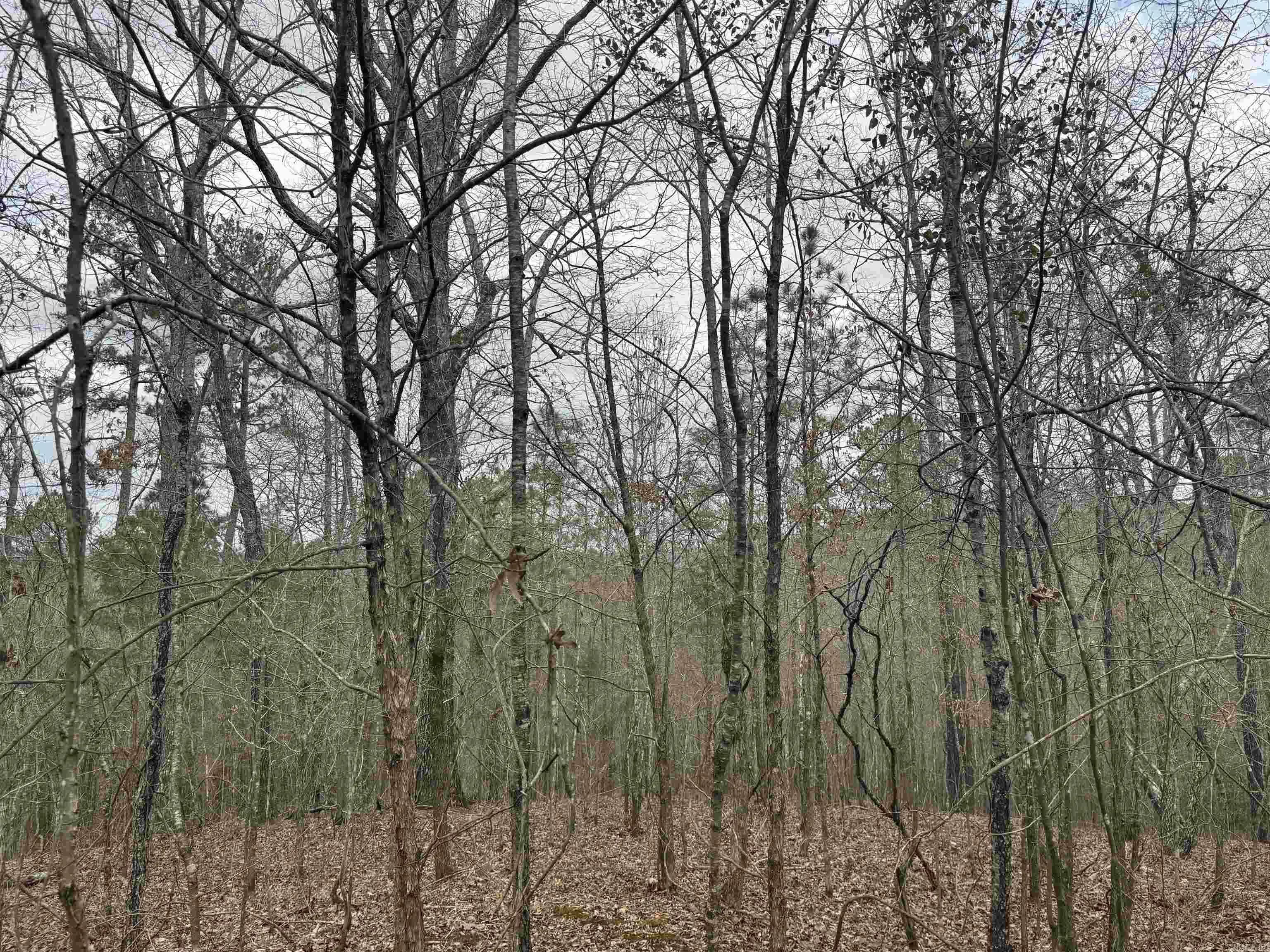 Property at 9 lots  Pirate - Image 12