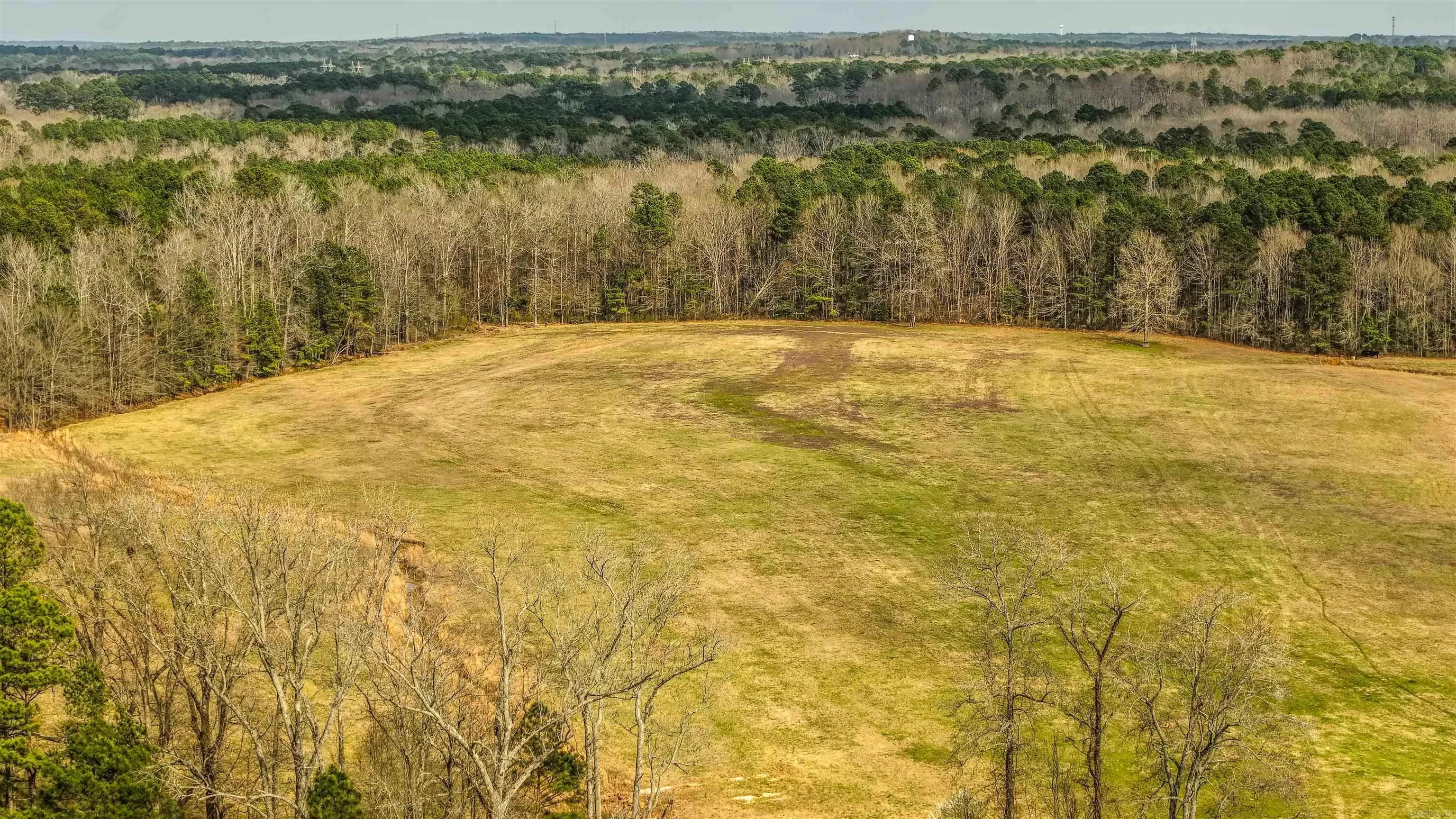 Property at 14301  Mann lane - Image 22