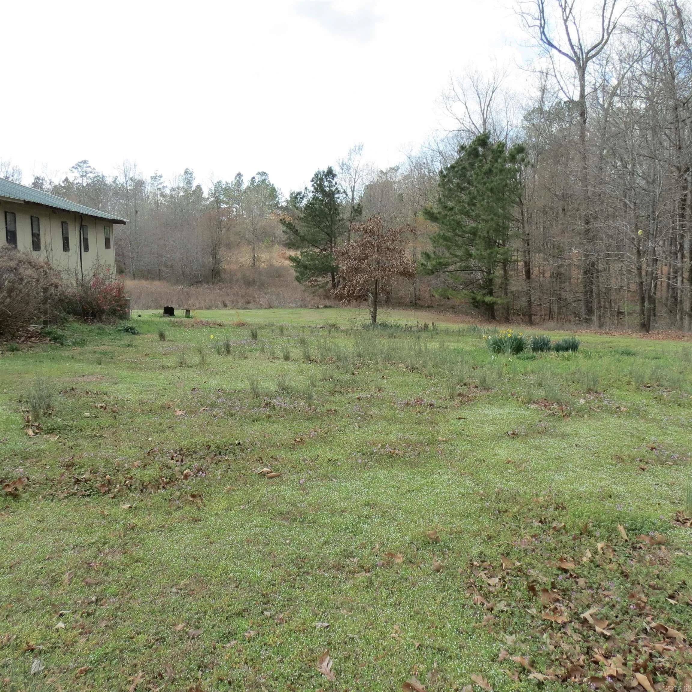 Property at 420  Dogwood - Image 5