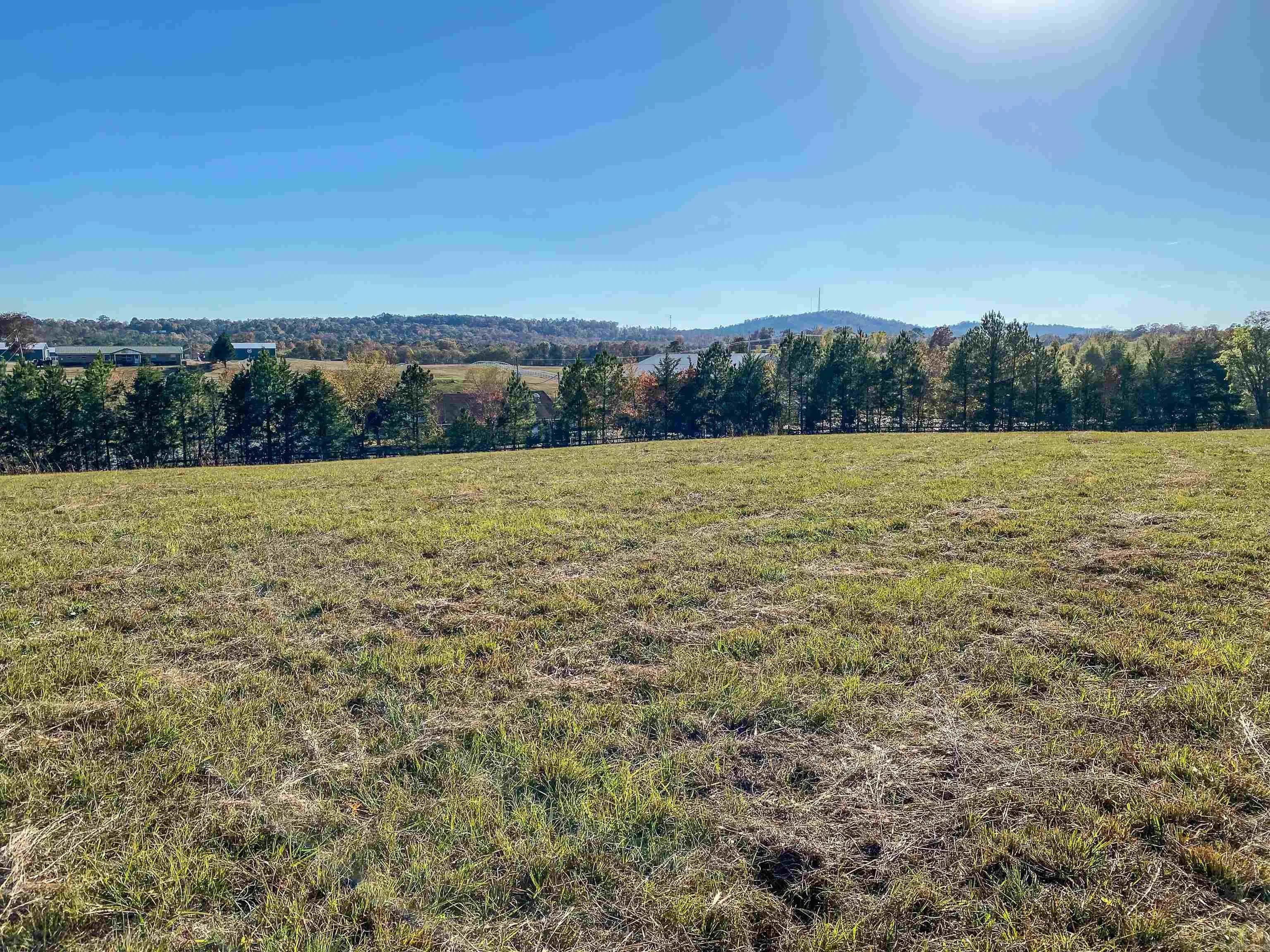 Property at 3109  Sunshine  Tract A - Image 8