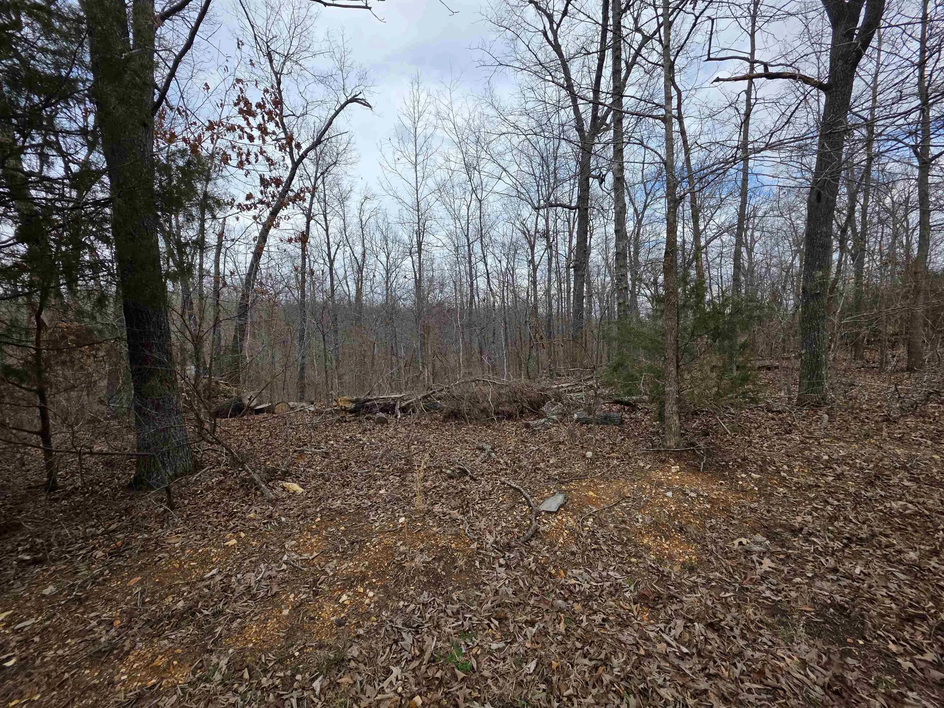 Property at 6 Lots  S summit ridge - Image 33