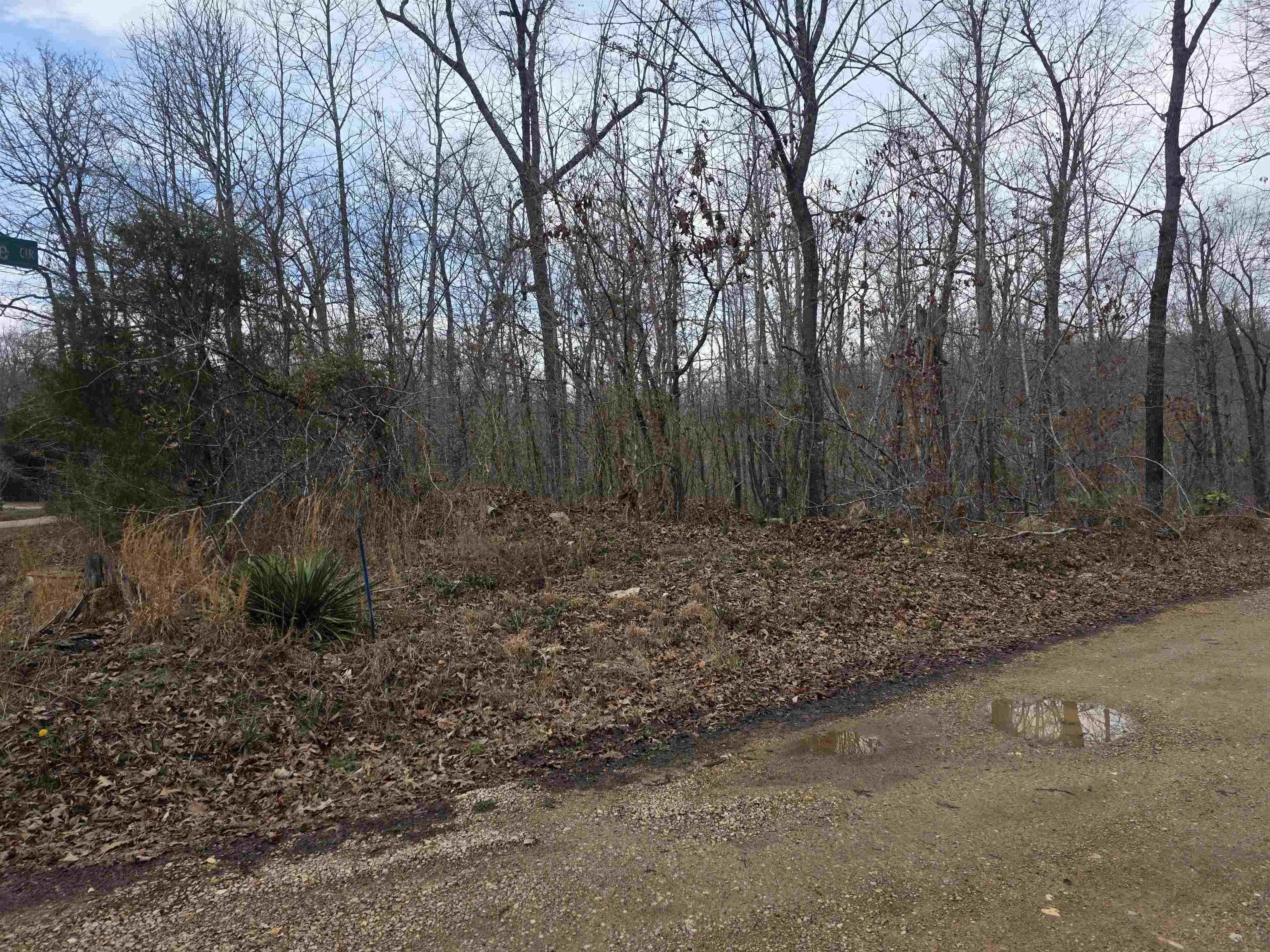 Property at 6 Lots  S summit ridge - Image 8