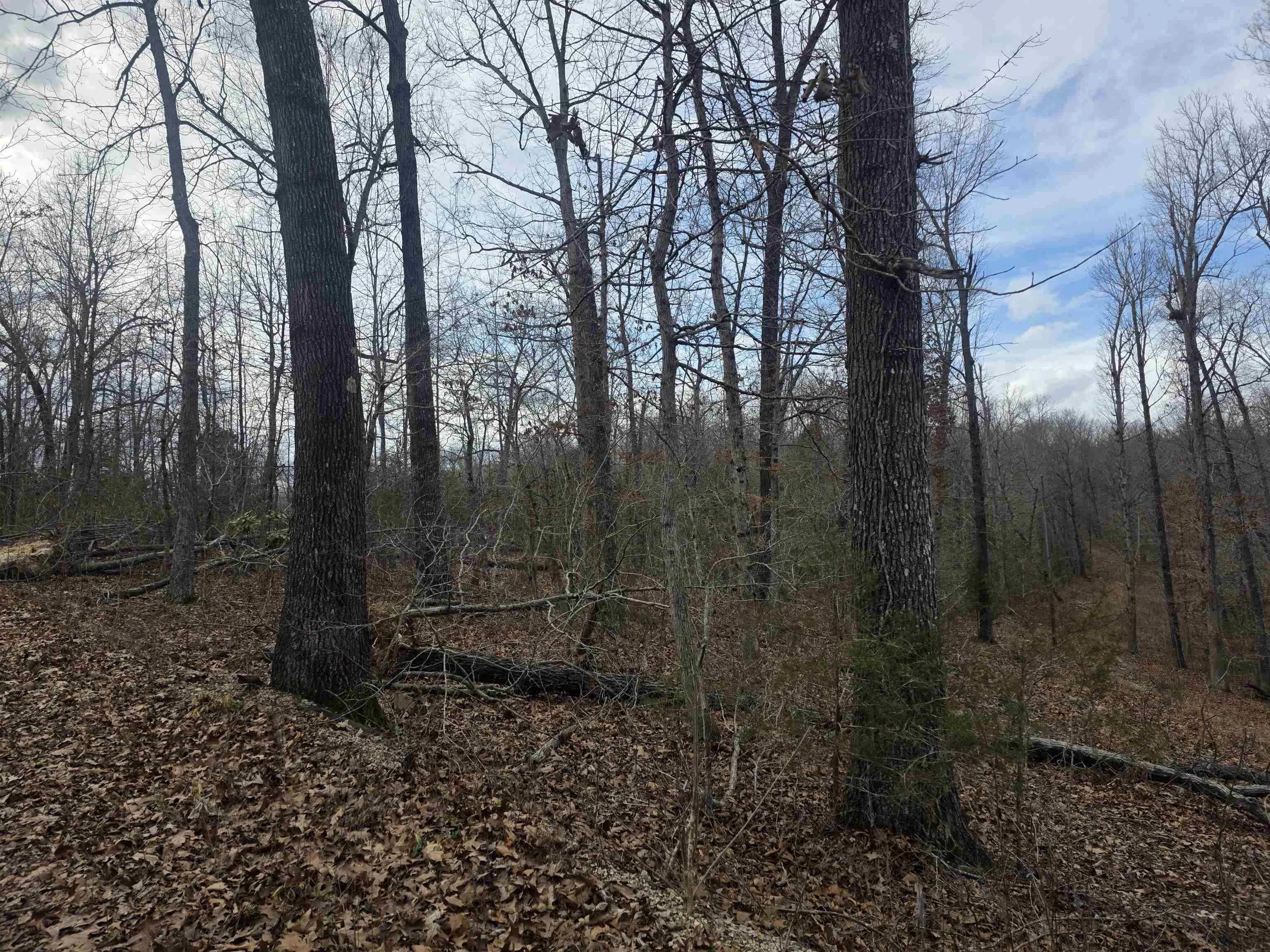 Property at 6 Lots  S summit ridge - Image 6