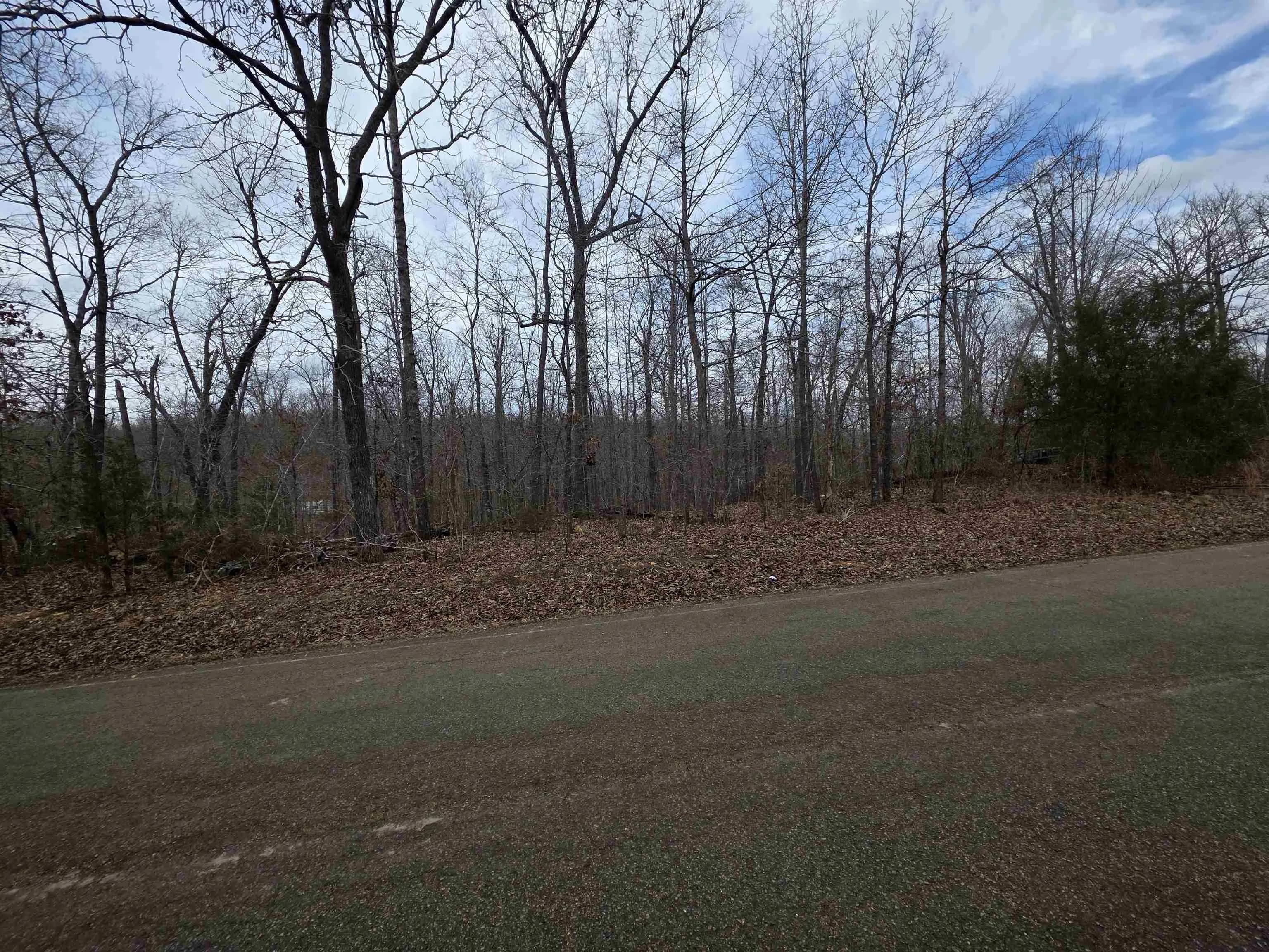 Property at L17 B3  S summit ridge - Image 4